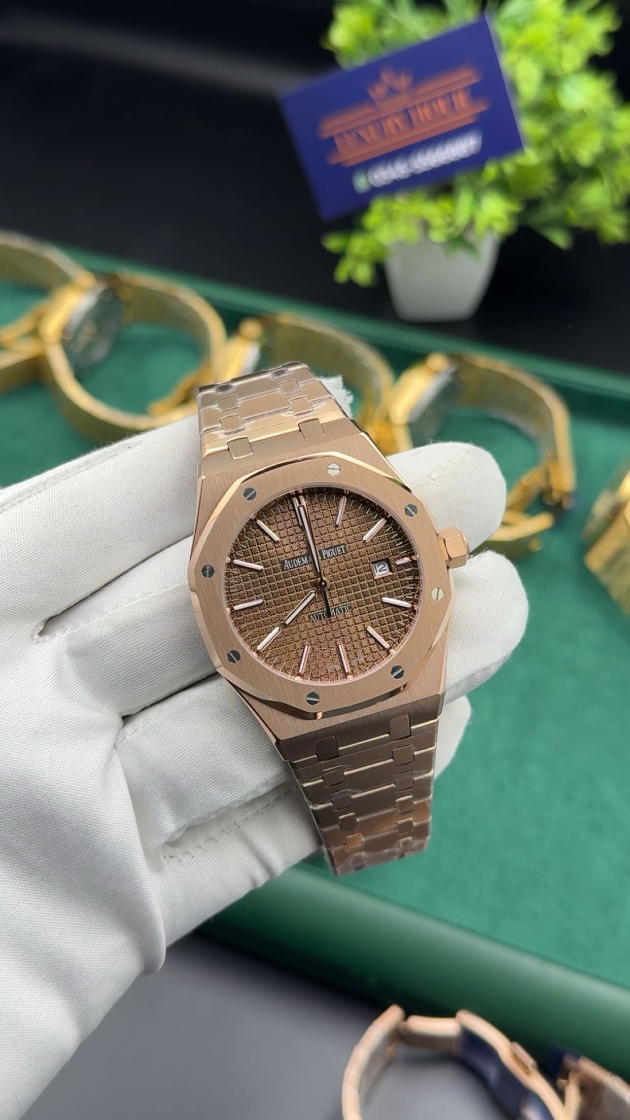Rose gold with chocolate dial