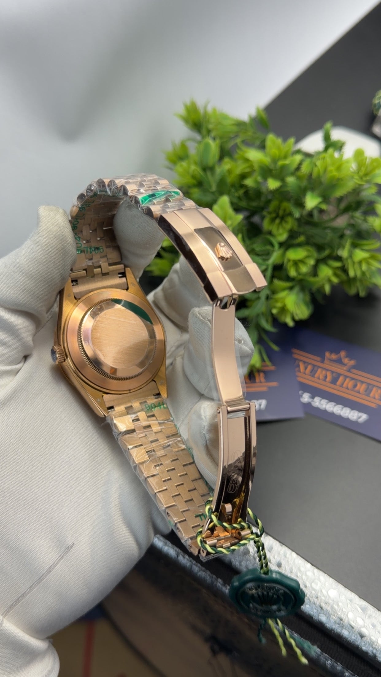 Rose Gold with Aqua dial 🔥