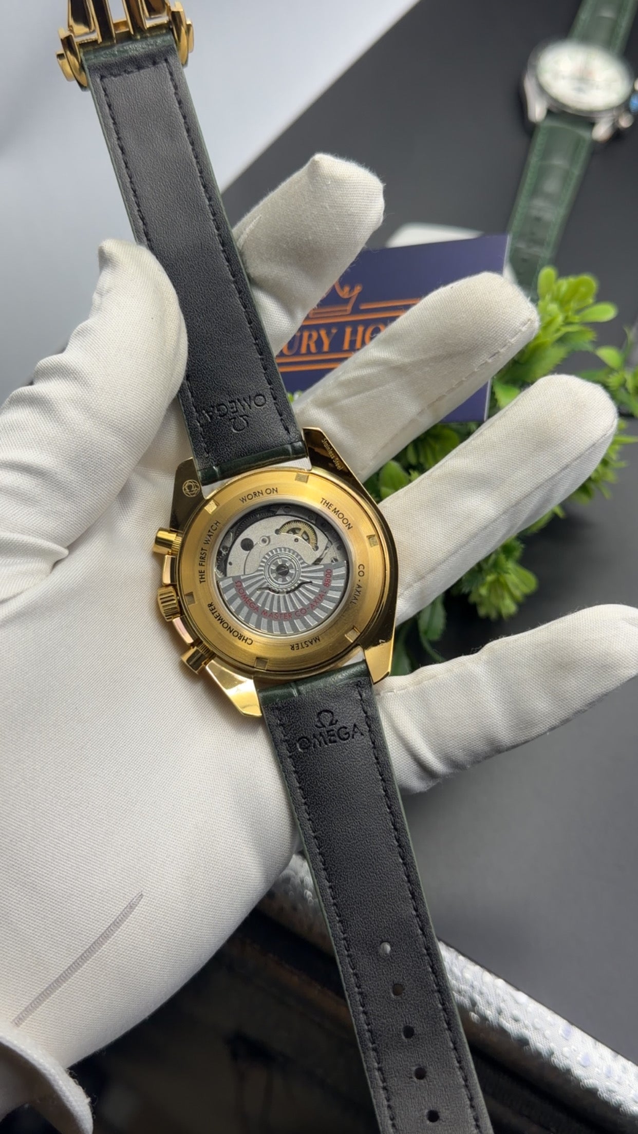 Golden with green dial 🔥