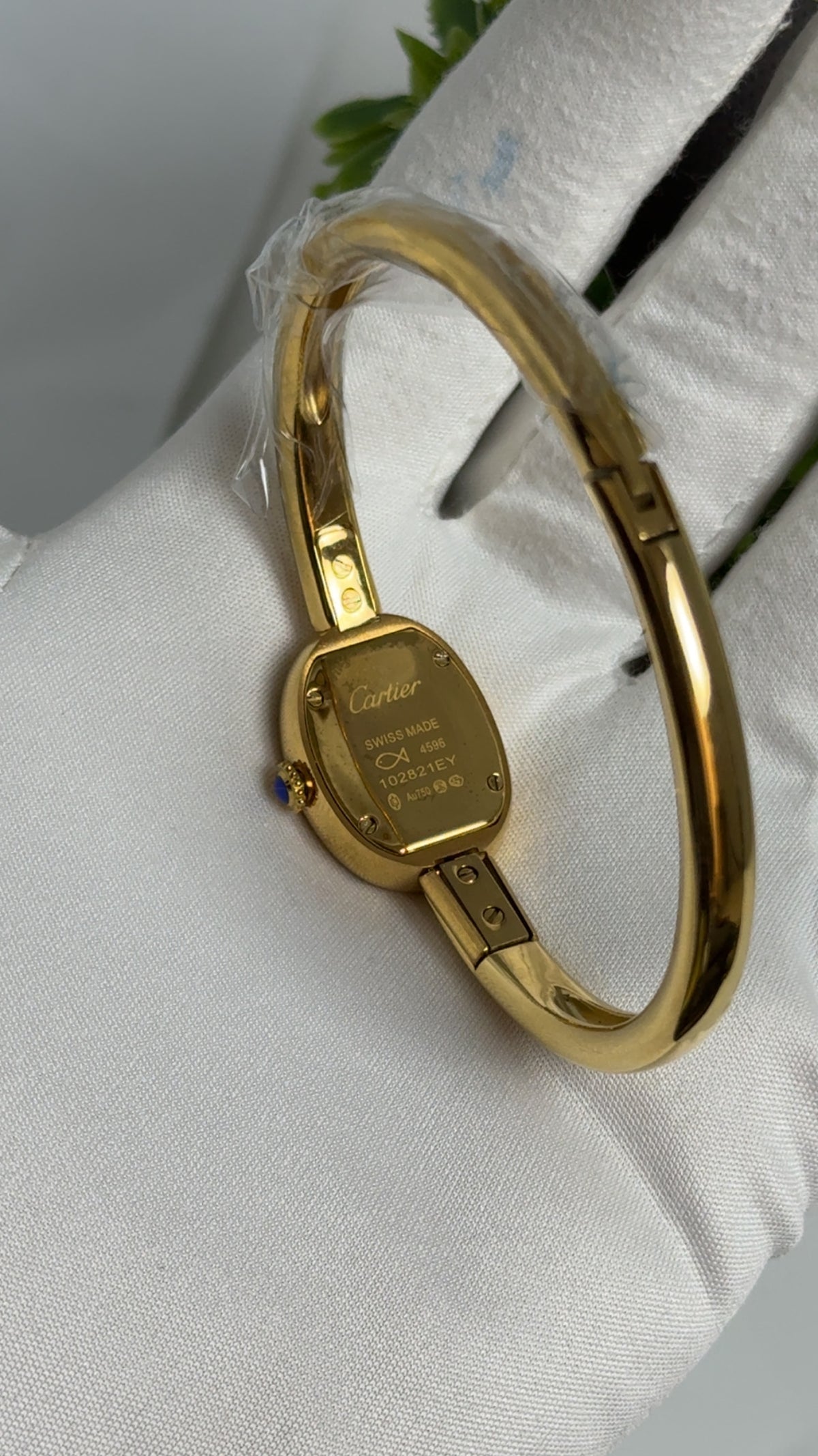 Yellow Gold with White Dial.
