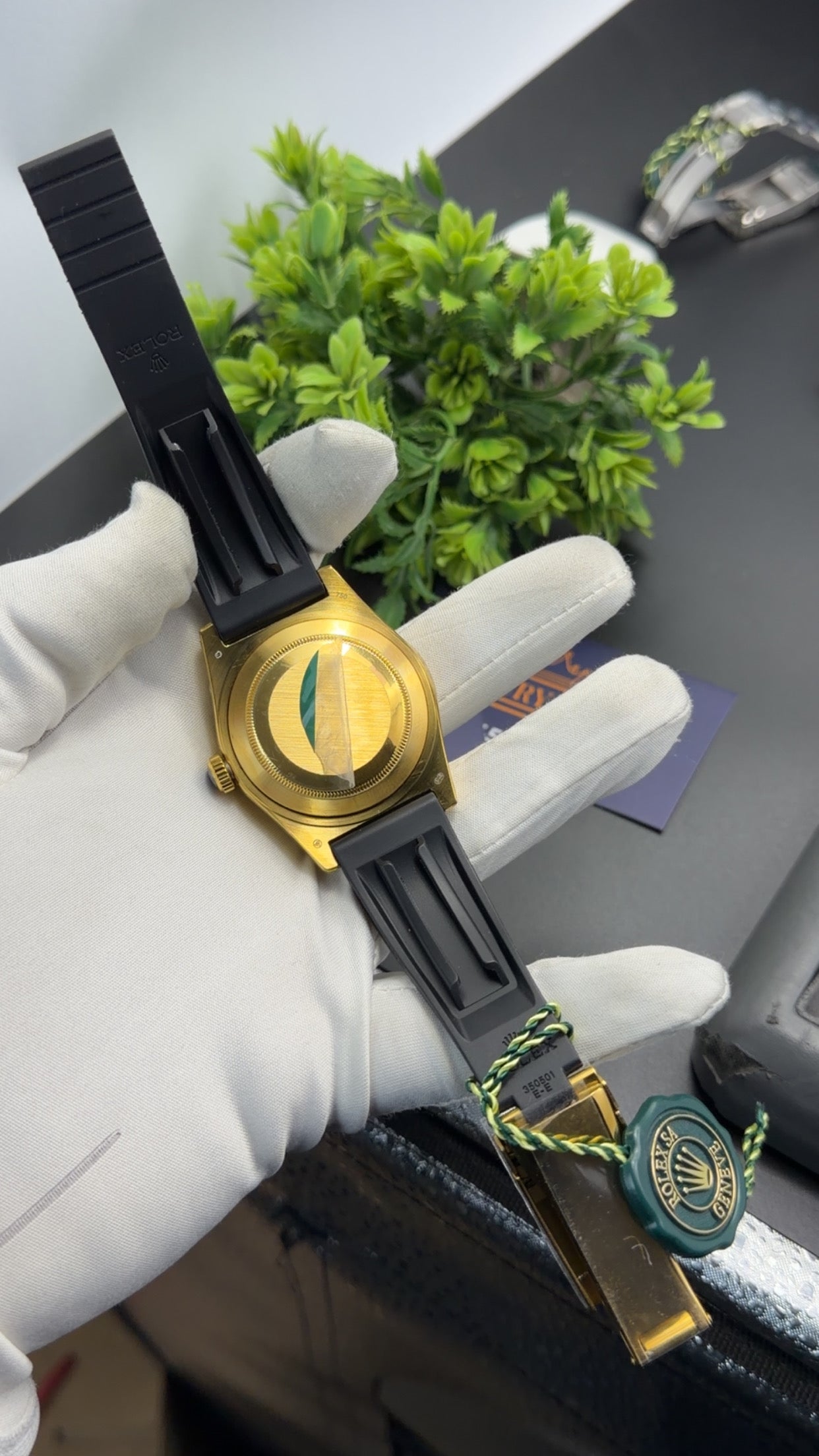 Yellow Gold with Black dial🔥