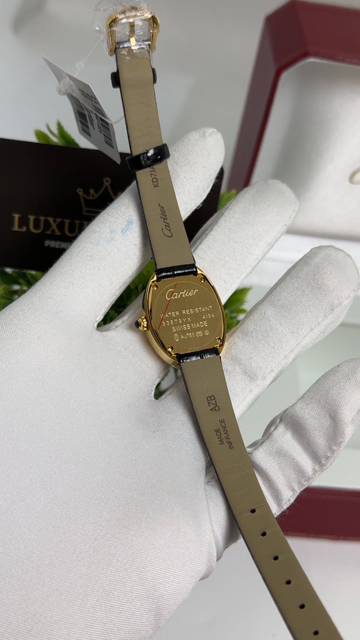 Yellow Gold with Red Strap.