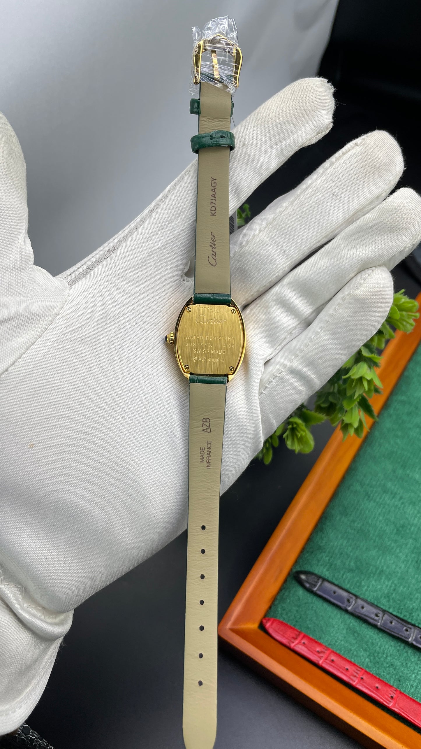 Yellow Gold with Green Strap🔥
