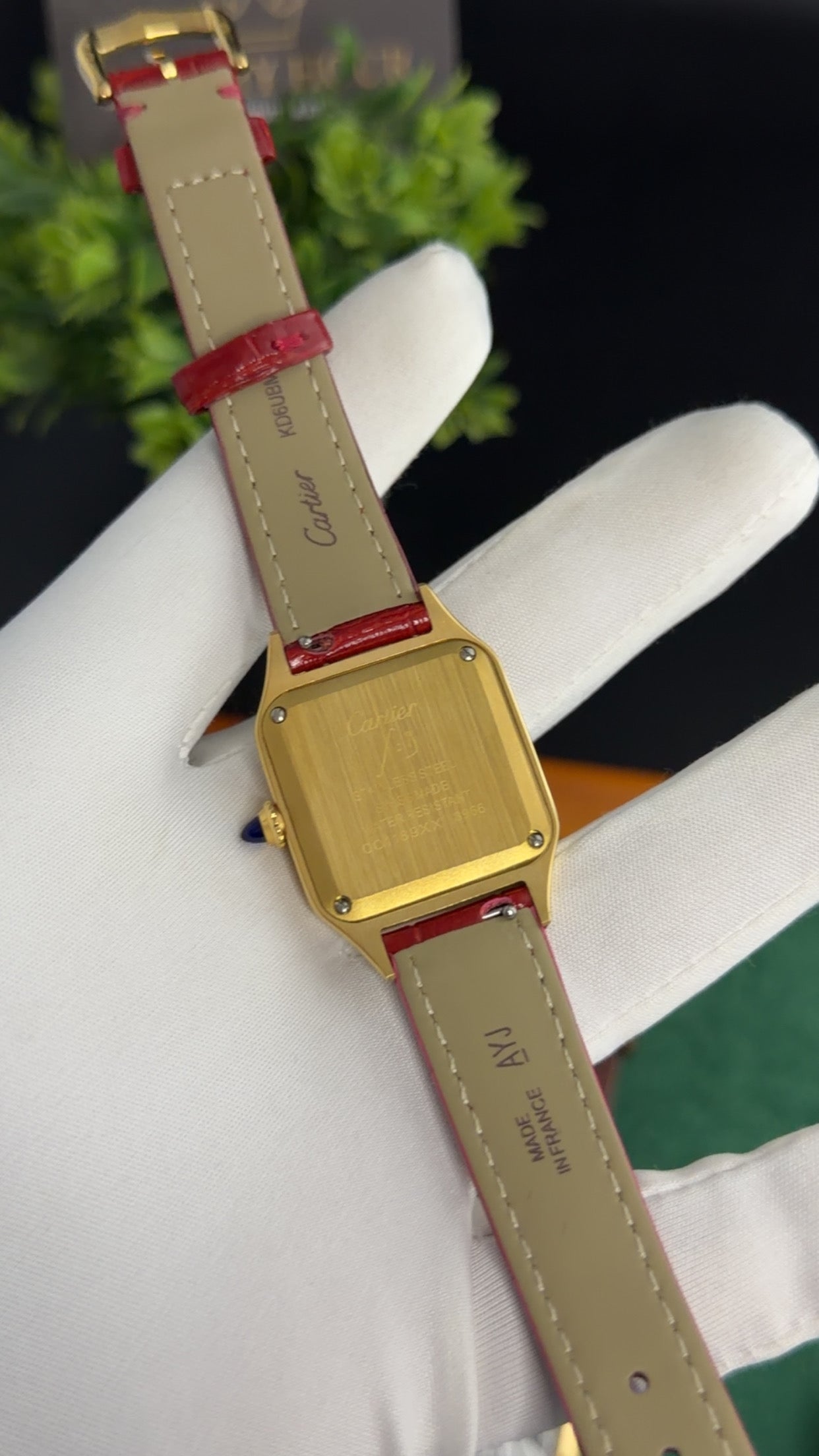 Yellow Gold with Red Strap (M No:183)