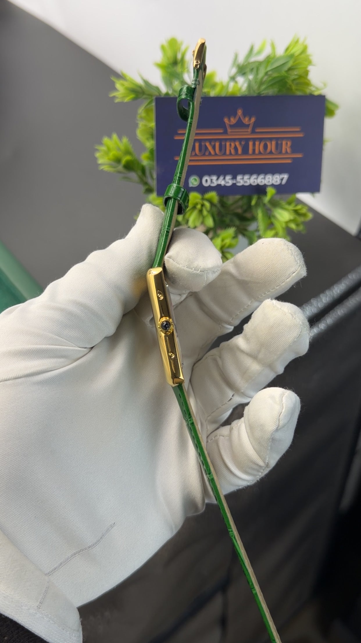 Yellow Gold with green strap🔥