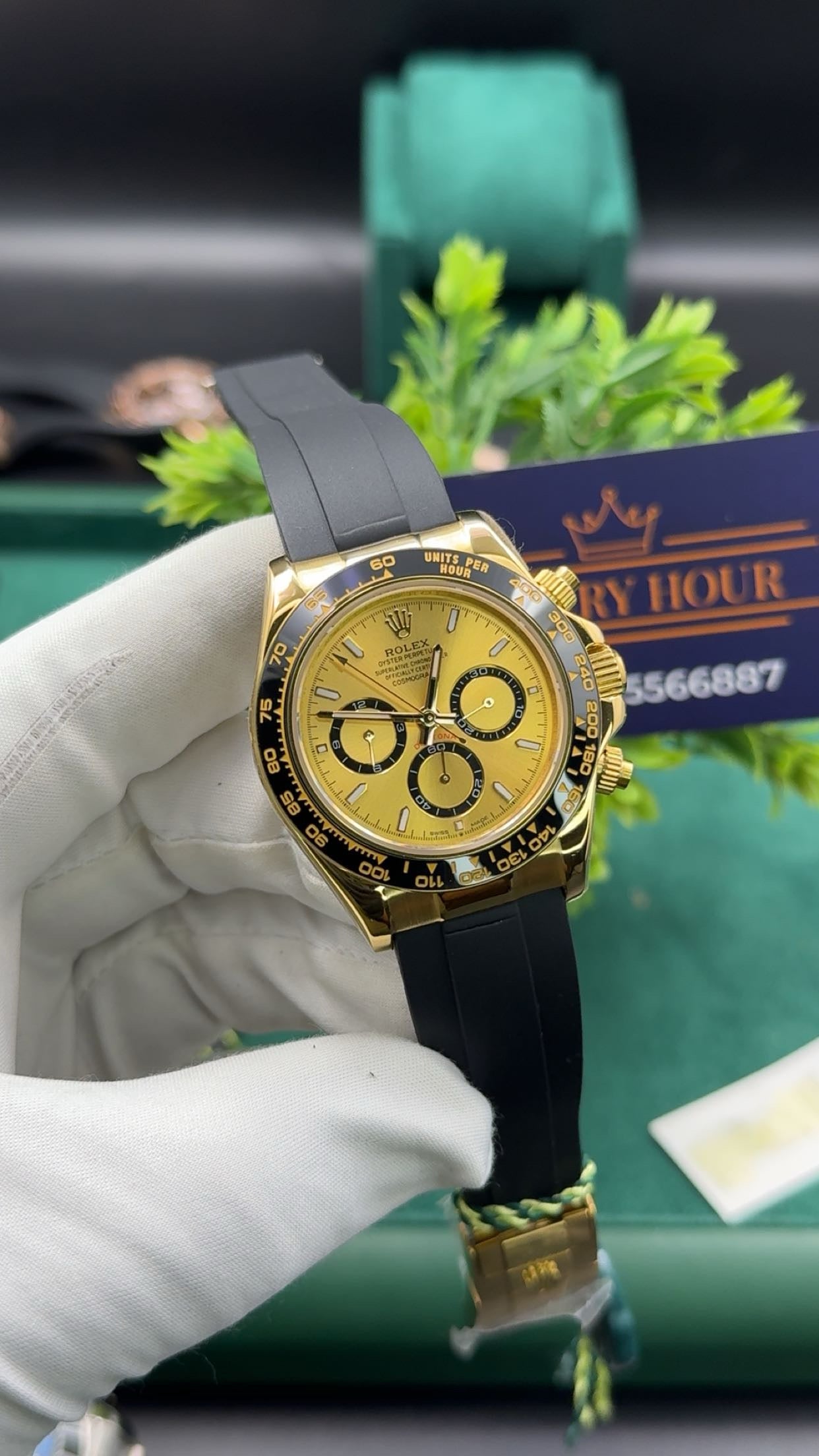 Yellow gold with gold dial