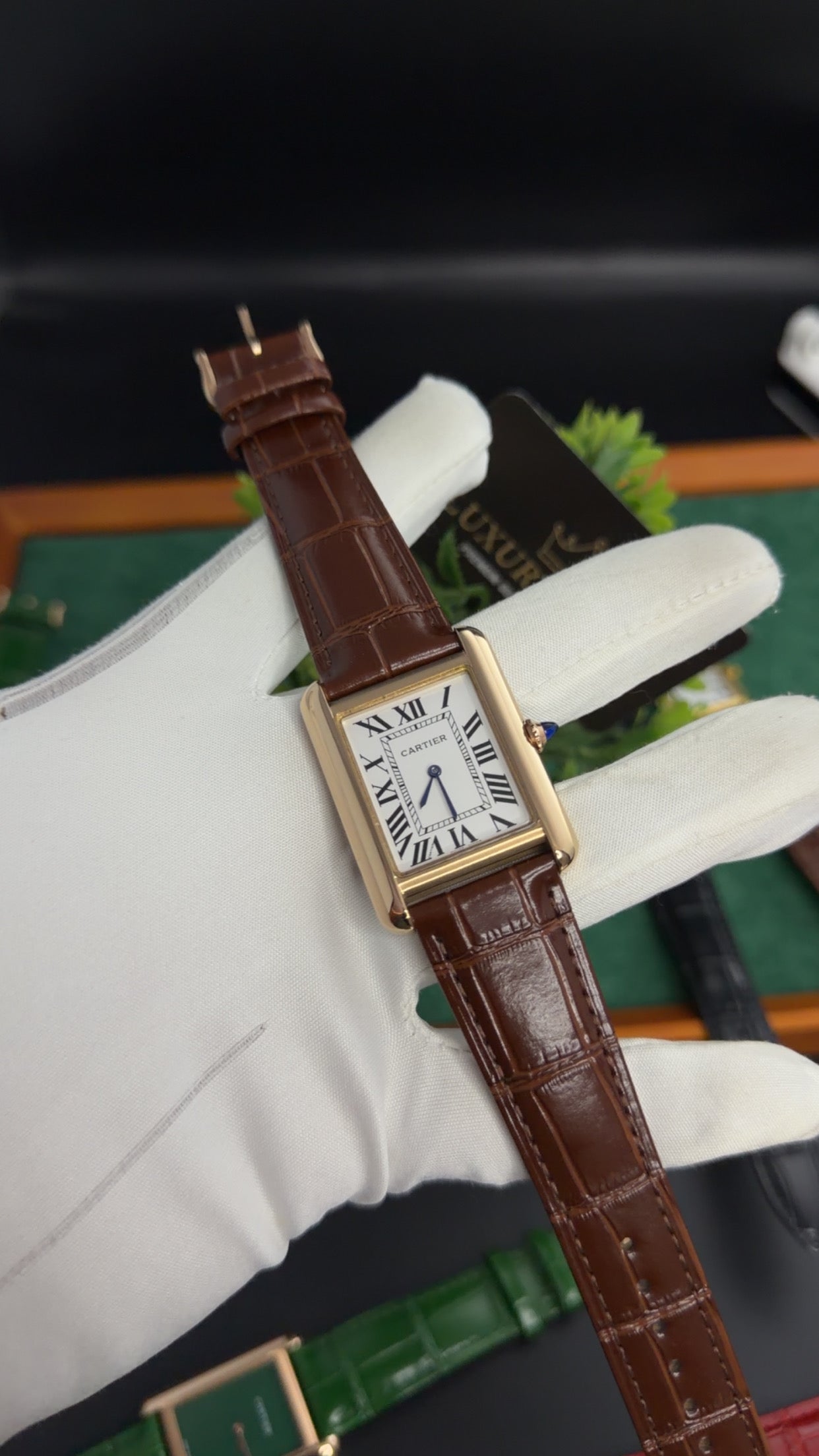 Rose Gold with White Dial (M No:183)