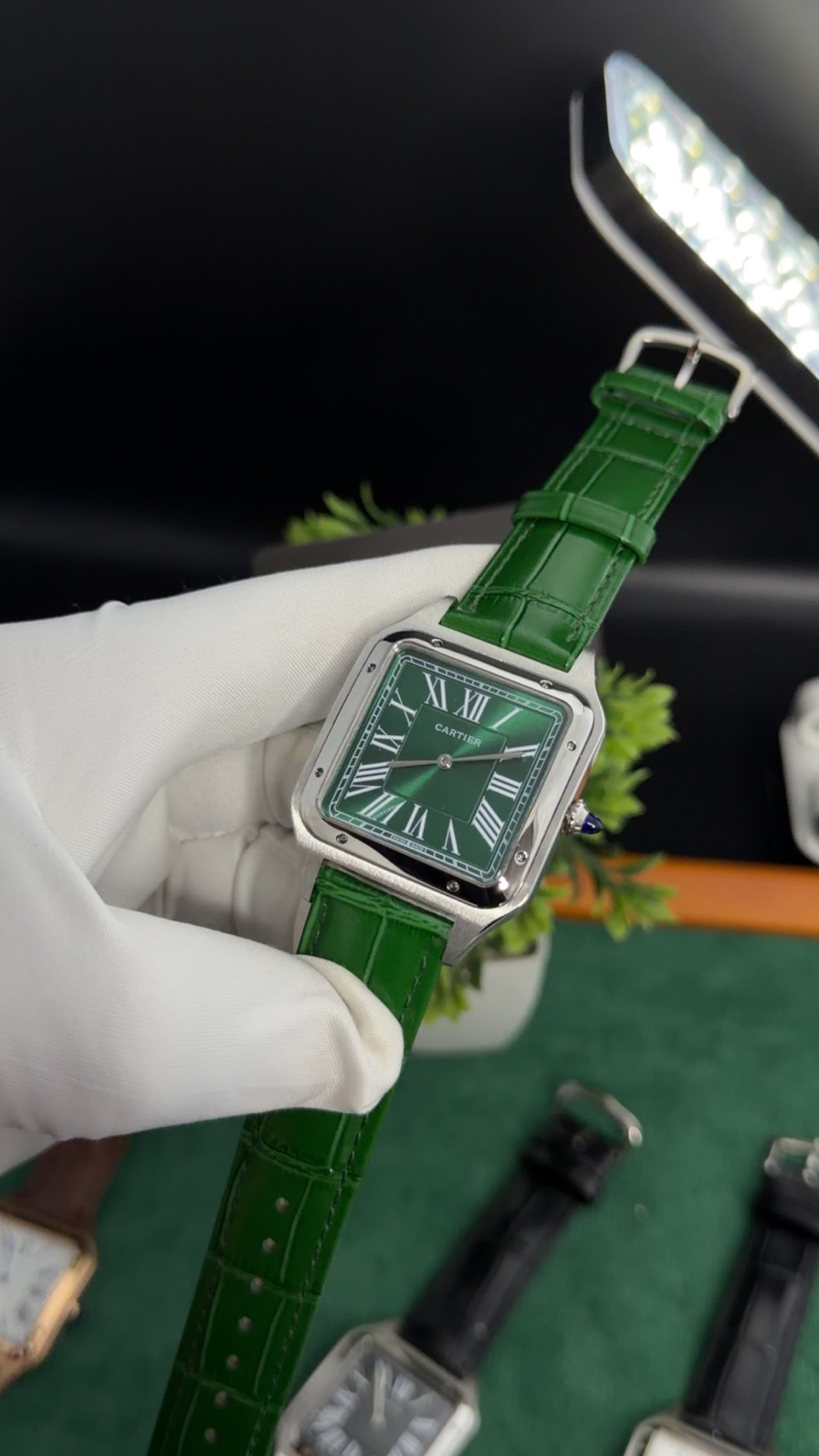 Silver with Green Dial (M No:183)
