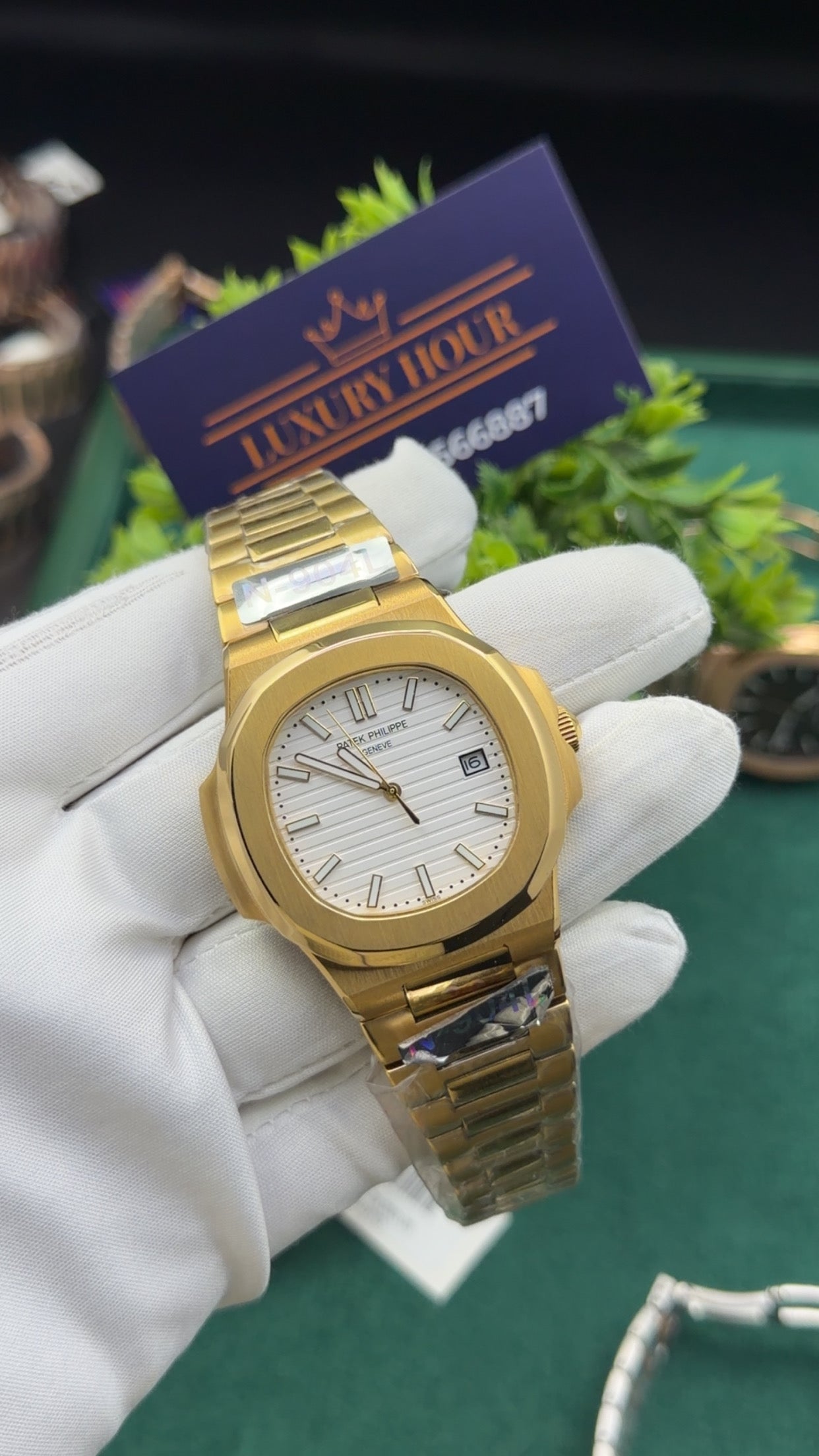 Yellow gold with white dial