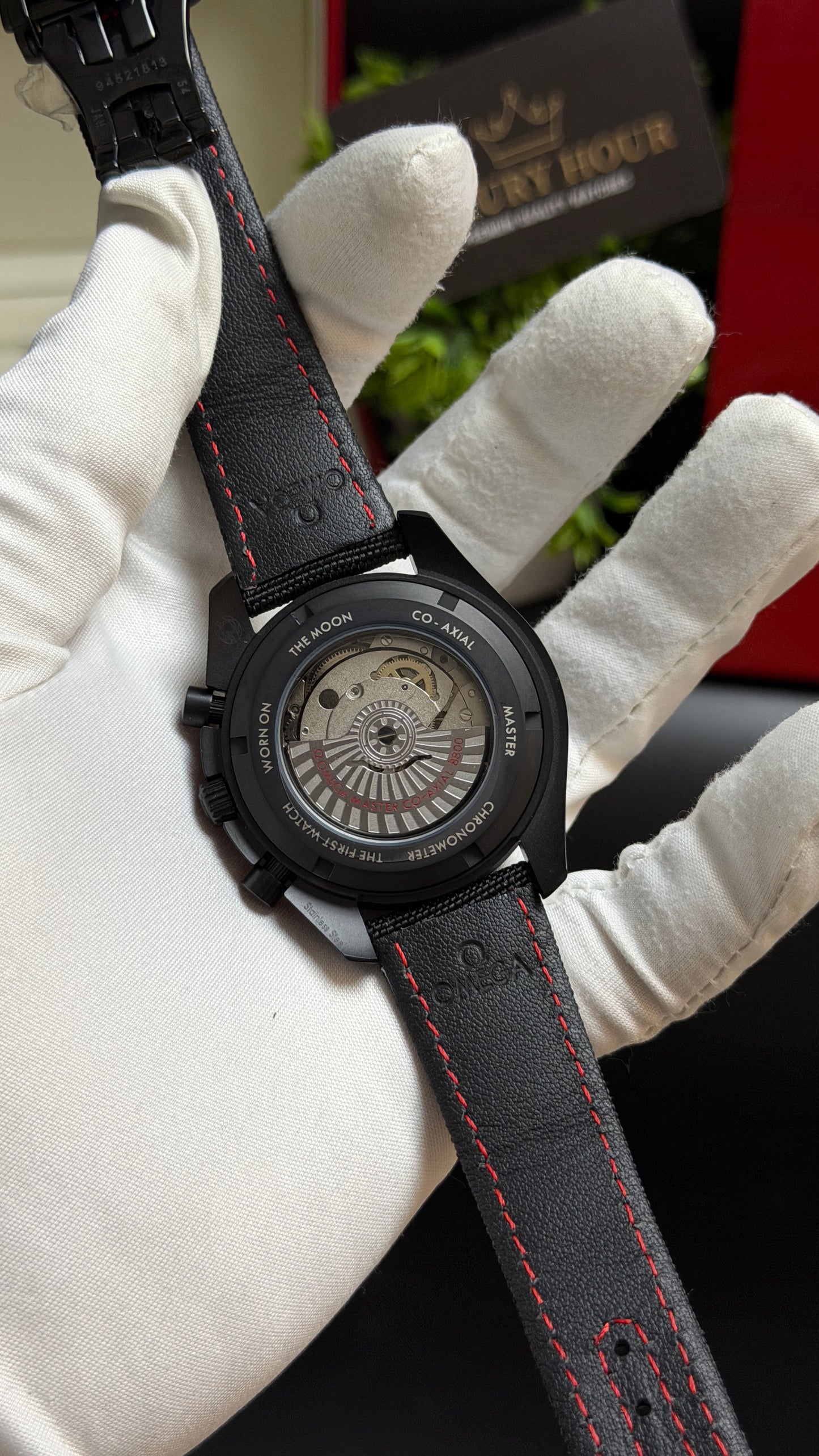 Ocean Dial Beauty.