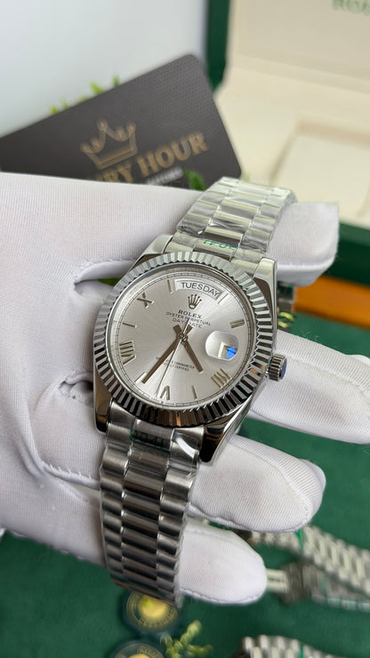 Silver Beauty🩶