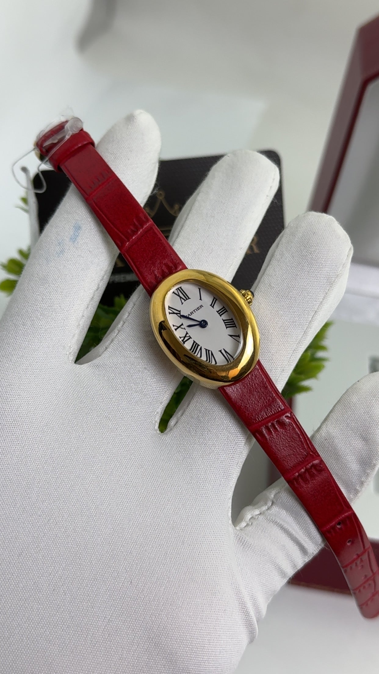 Yellow Gold with Red Strap.