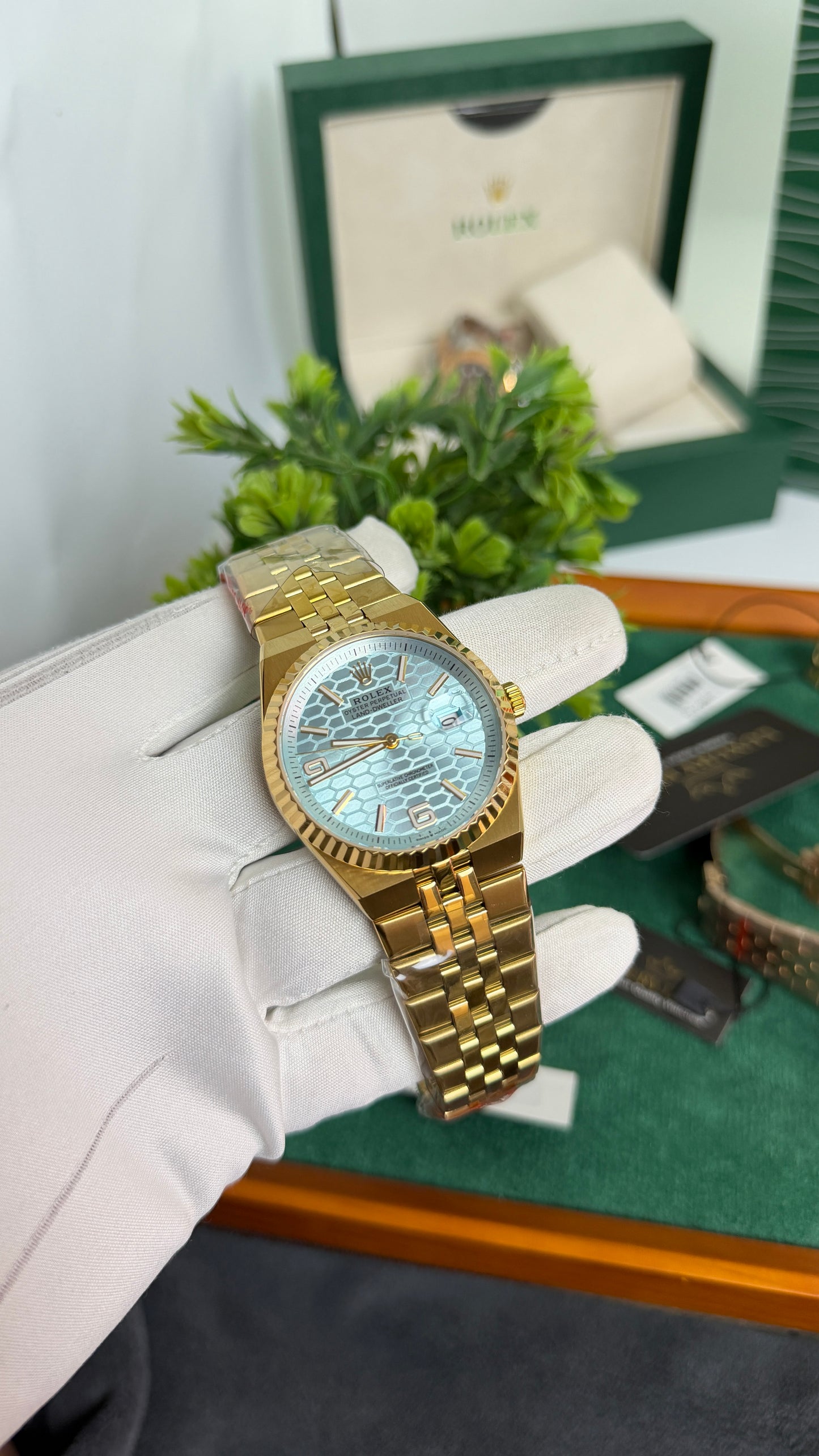 Yellow Gold with Sky Blue Dial🔥