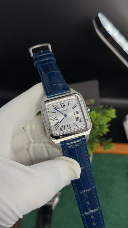 Silver with White Dial (M No:183)