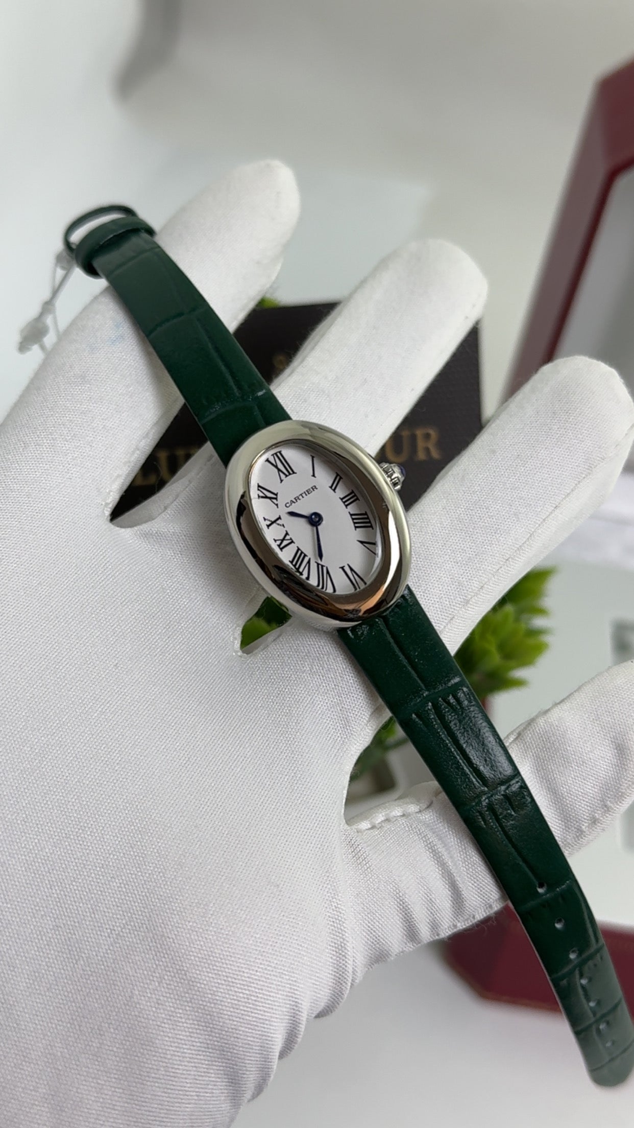 Silver with Green Strap.