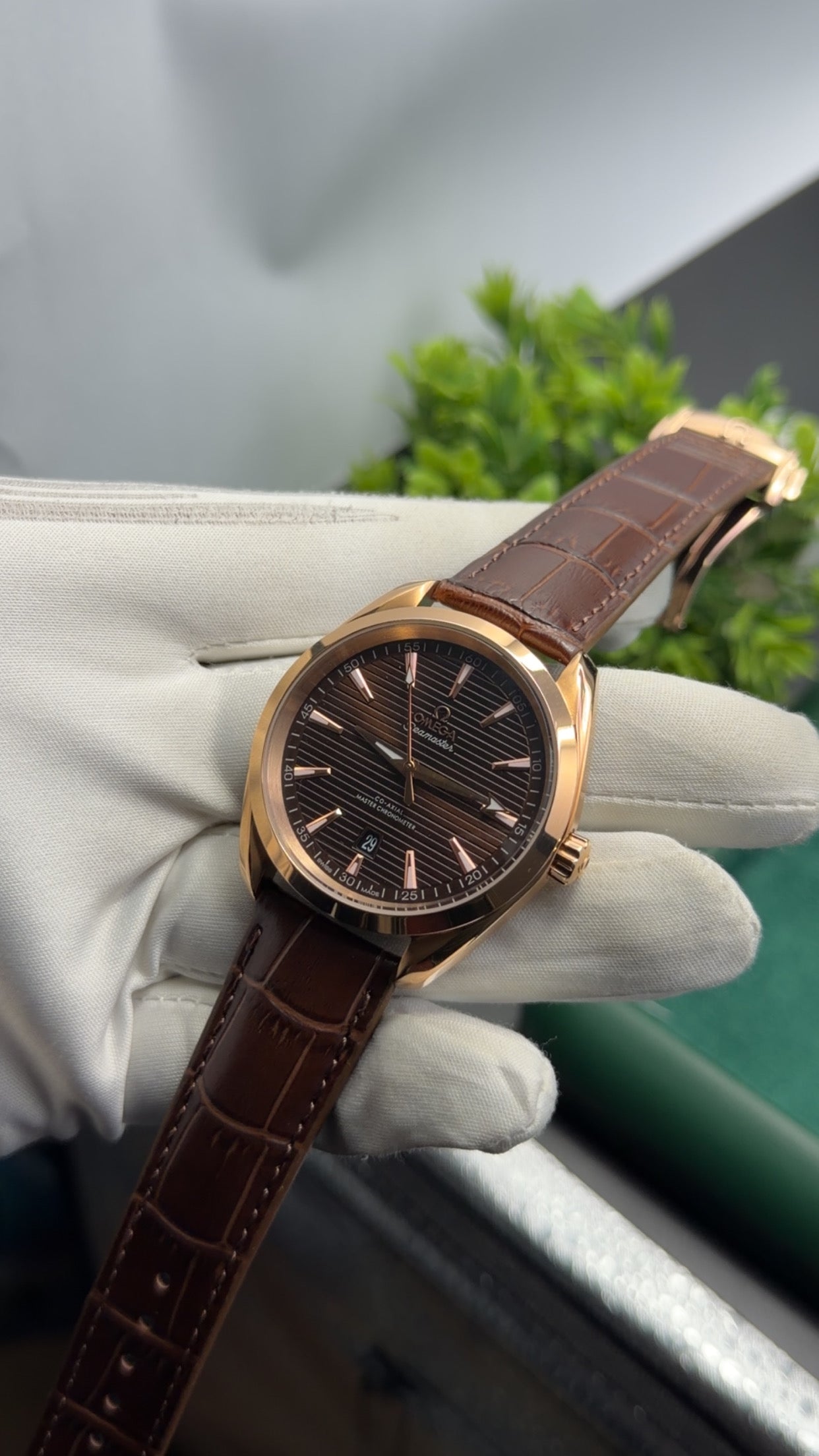 Rose Gold with chocolate dial🔥