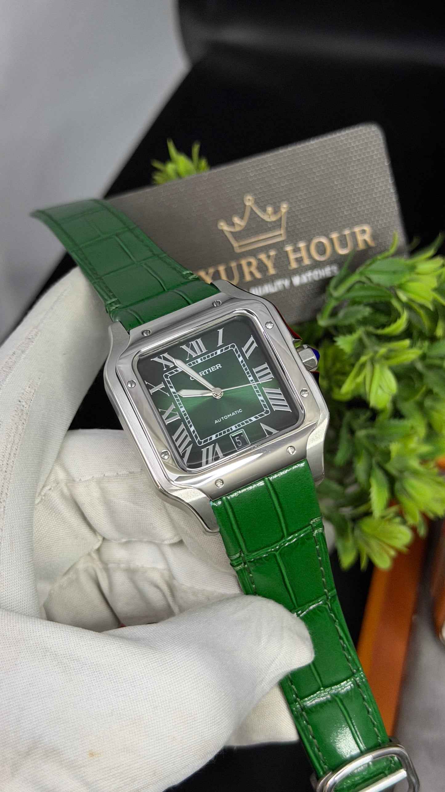 Silver with Green Dial🔥