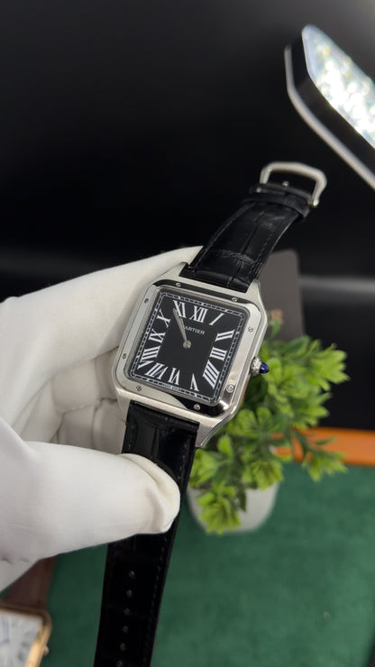 Silver with Black Dial (M No:183)