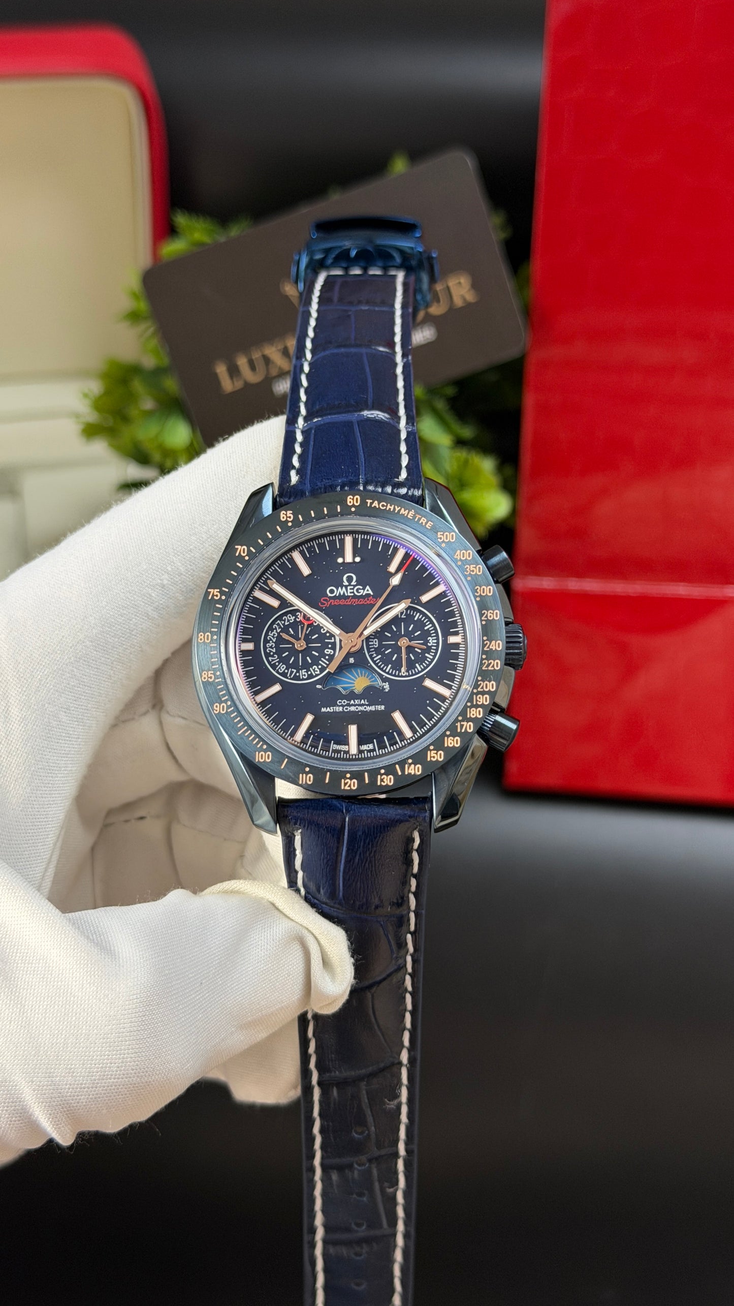 Ocean Dial Beauty.