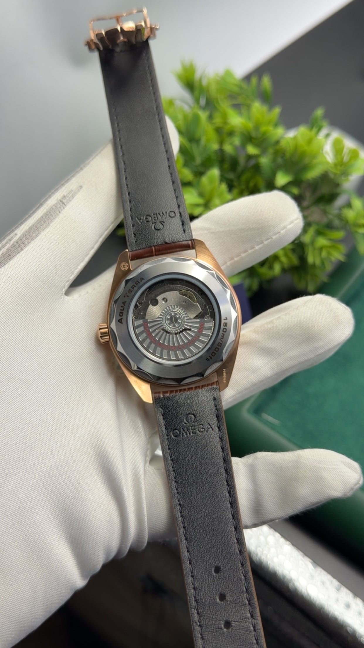 Rose Gold with chocolate dial🔥