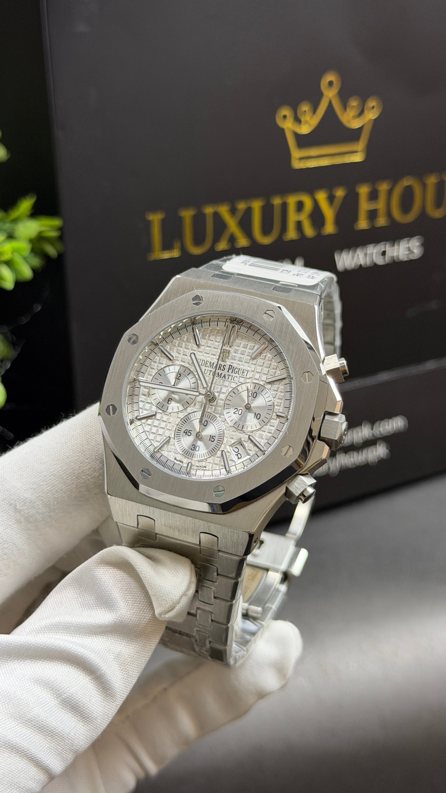 Silver Beauty🩶