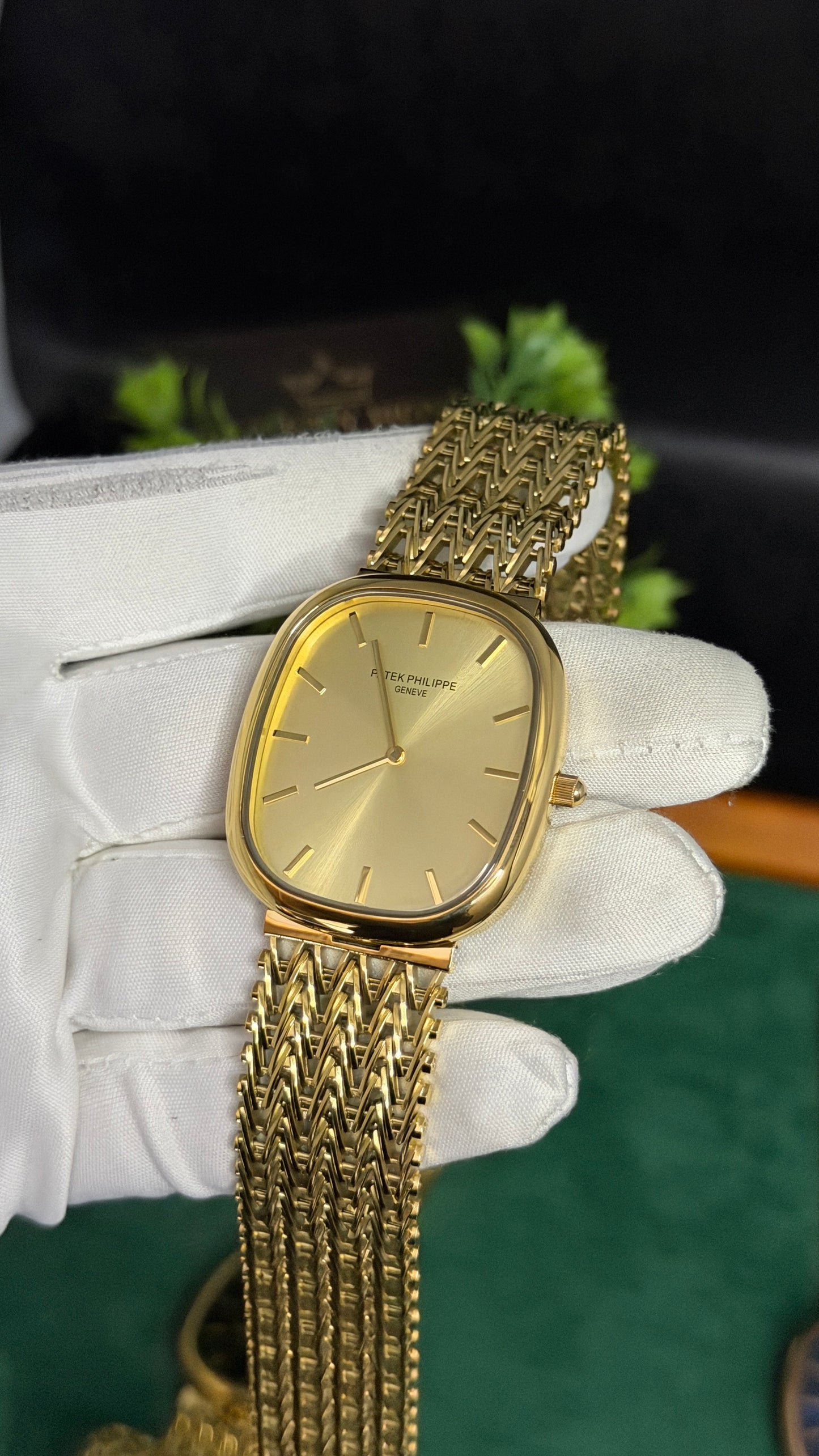 Yellow Gold Beauty (M NO:201)