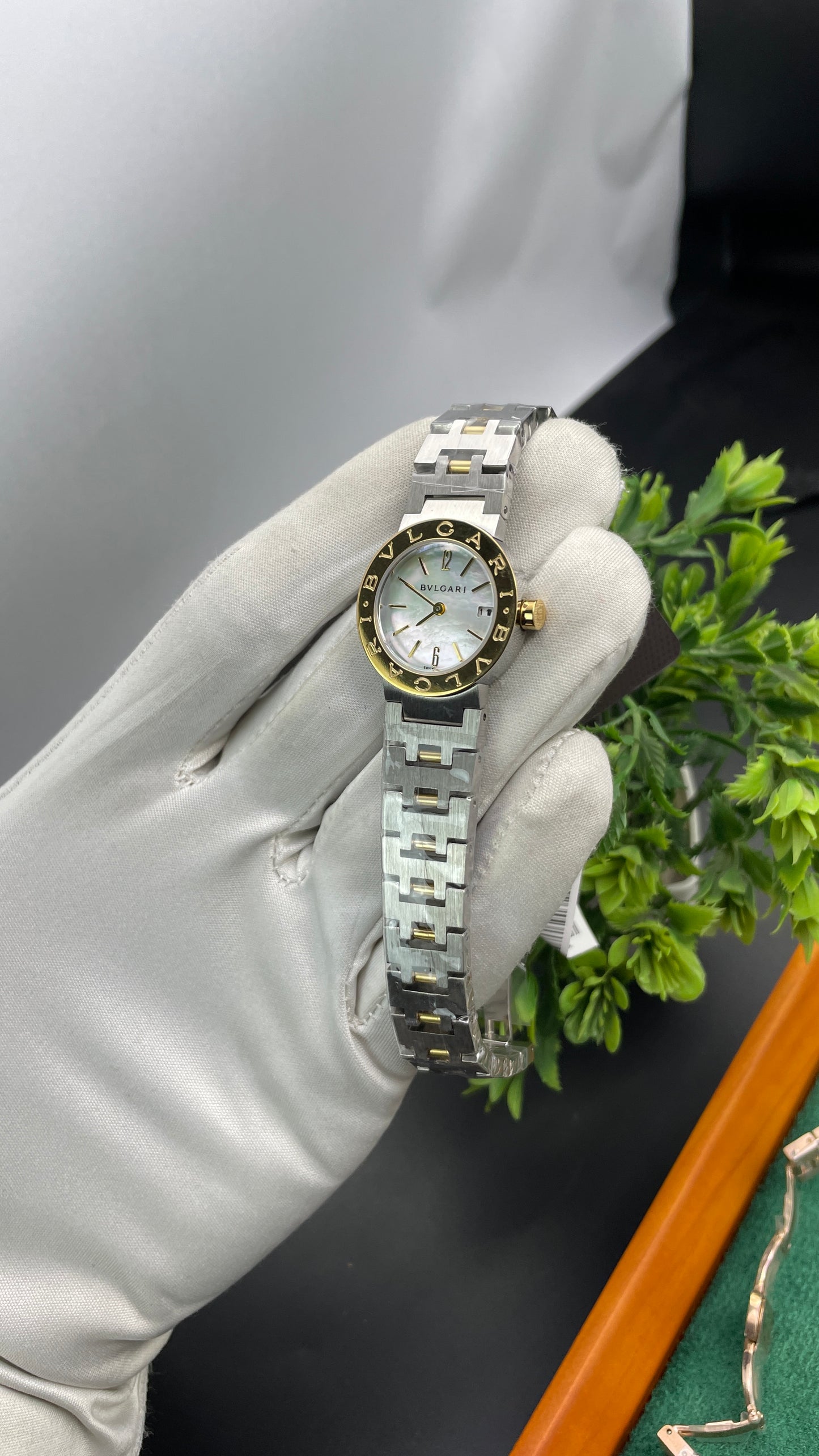 Yellow Gold with White Dial🔥