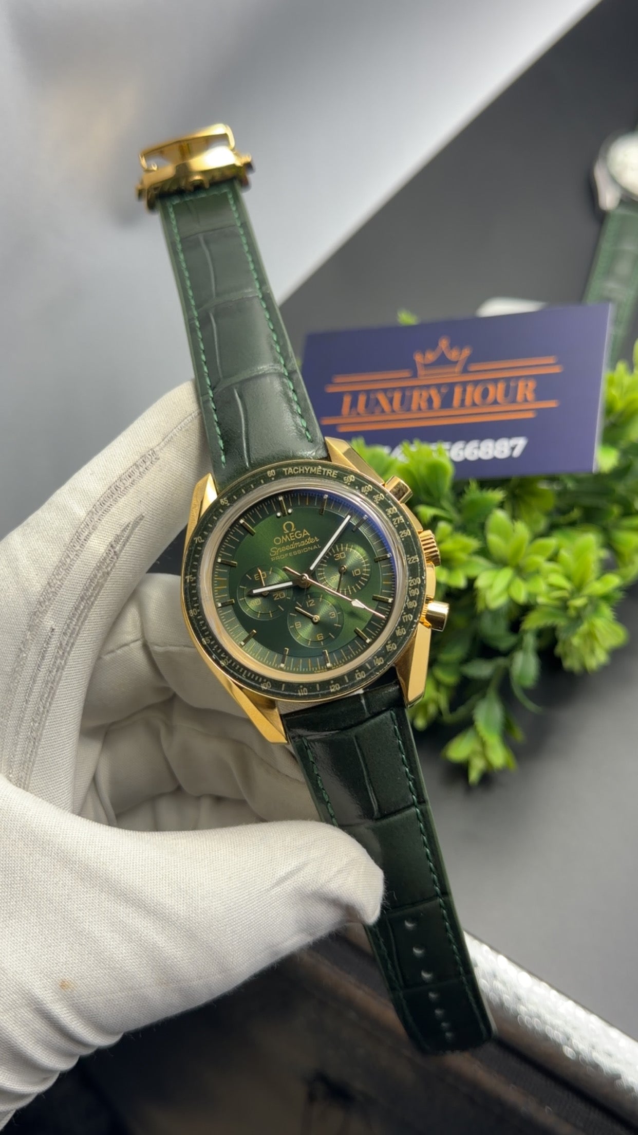 Golden with green dial 🔥