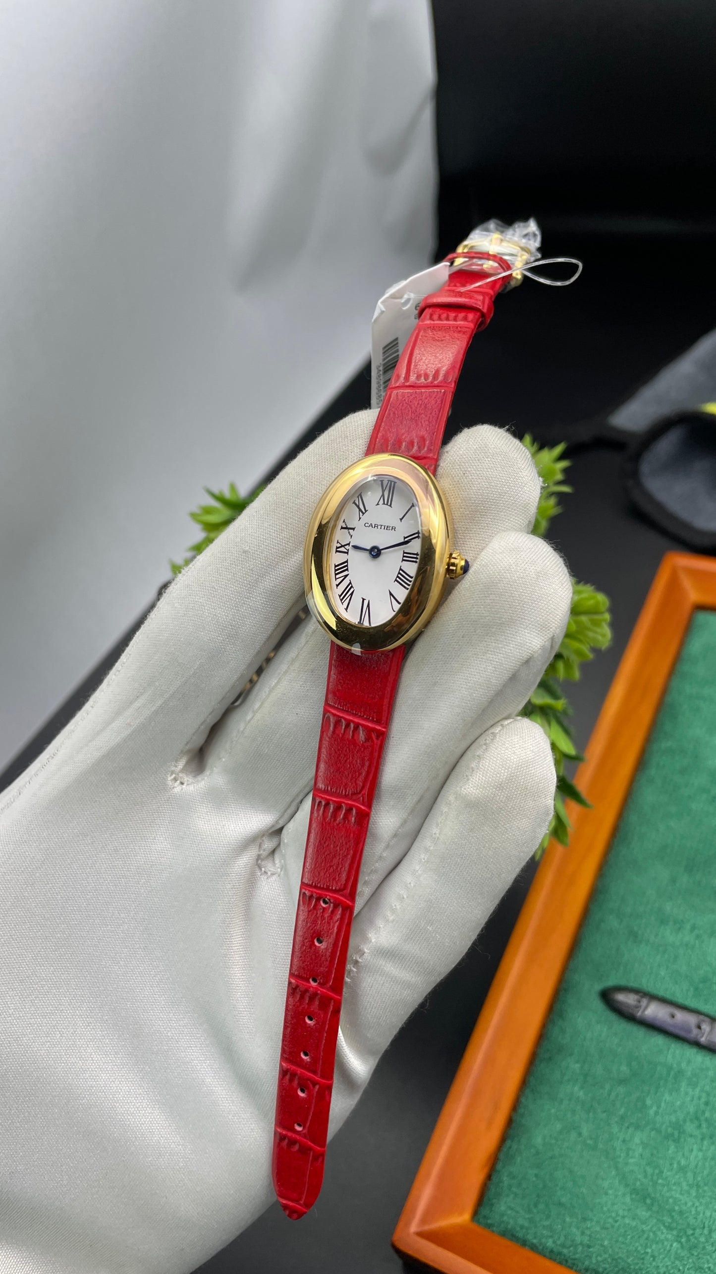 Yellow Gold with Red Strap🔥