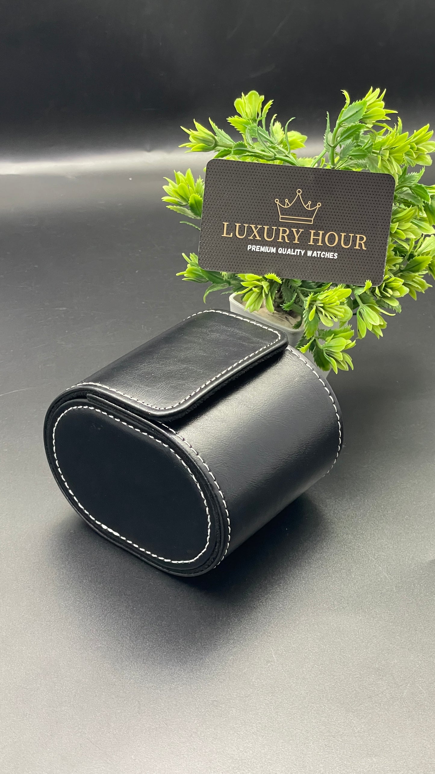 Black Leather Watch Case
