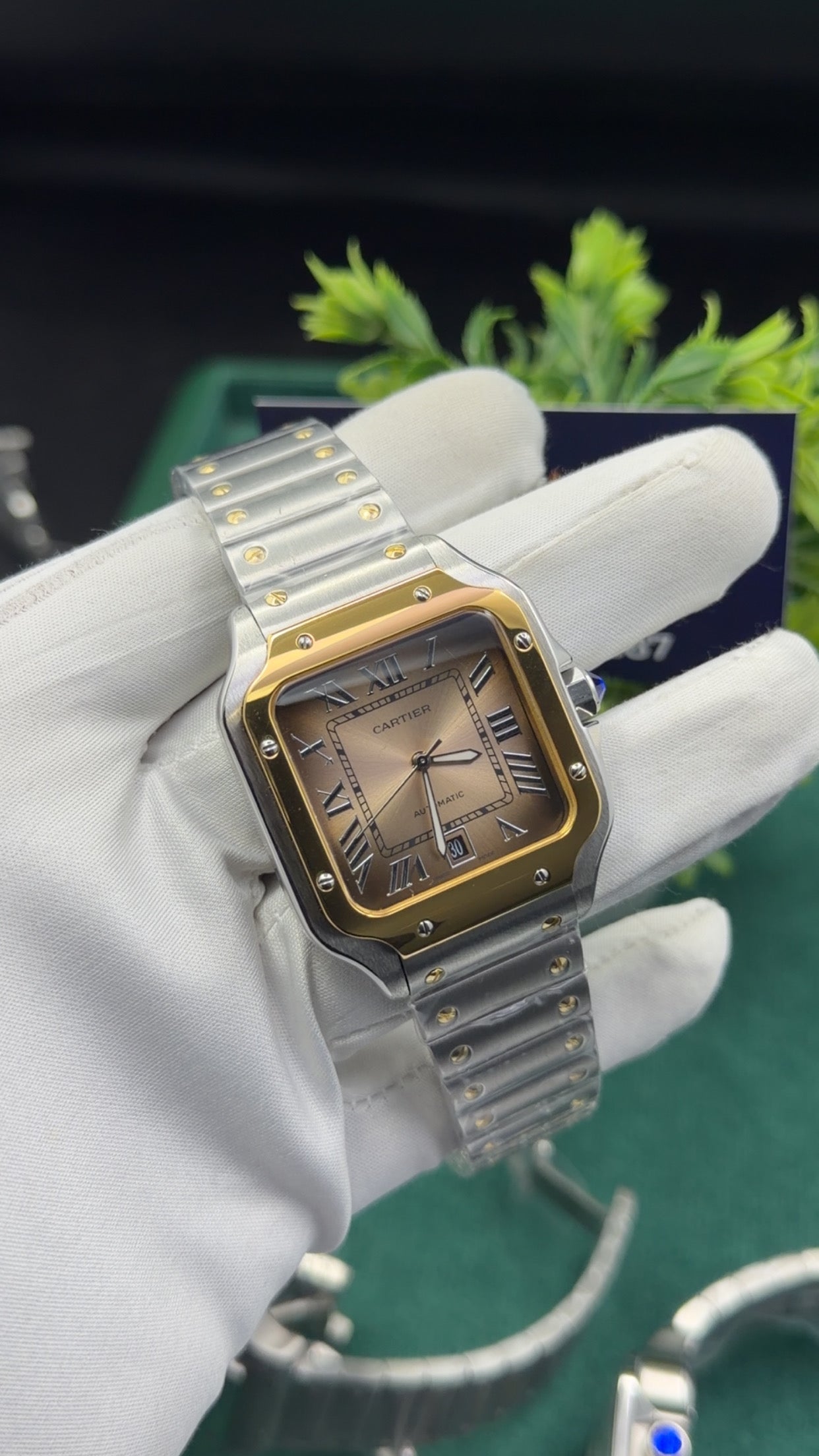 Yellow Gold two tone with grey dial 🔥