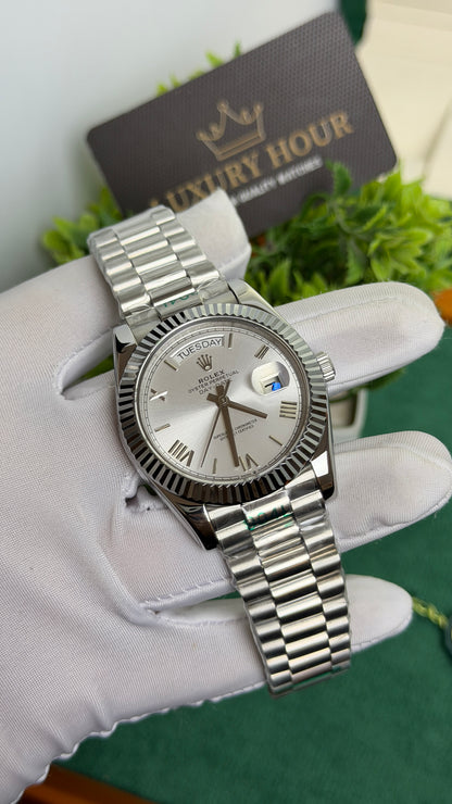Silver Beauty🩶