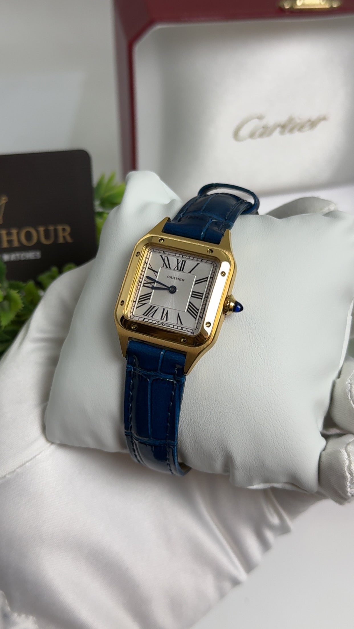 Yellow Gold with Blue Strap.