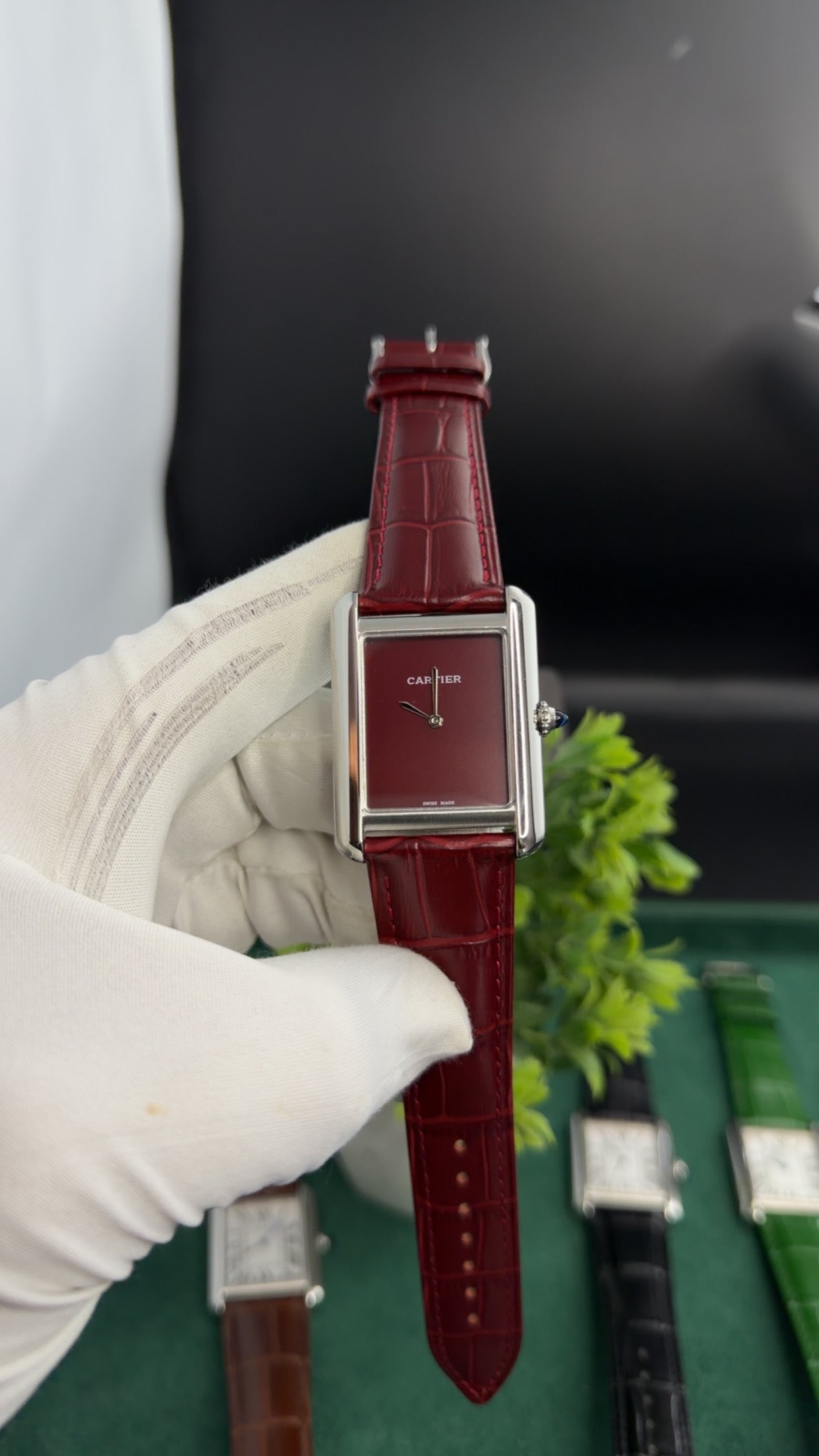 Silver with Maroon Dial (M NO:183)