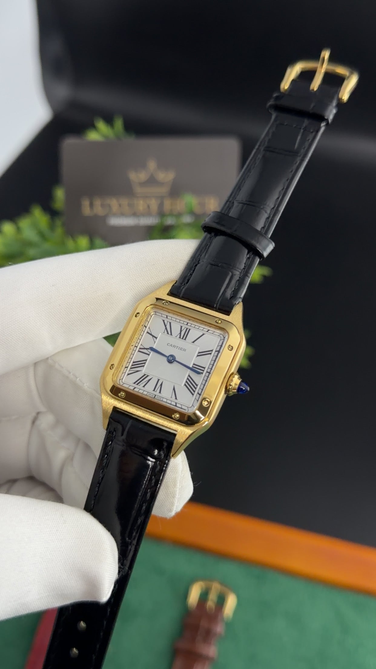 Yellow Gold with Black Strap (M No:183)