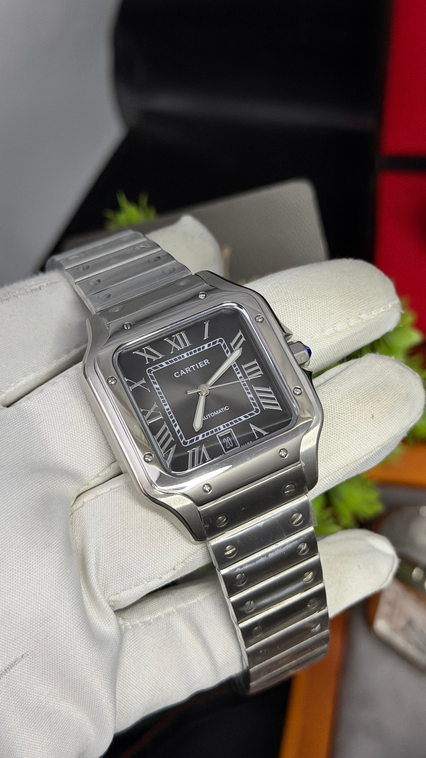 Silver with Grey Dial🔥