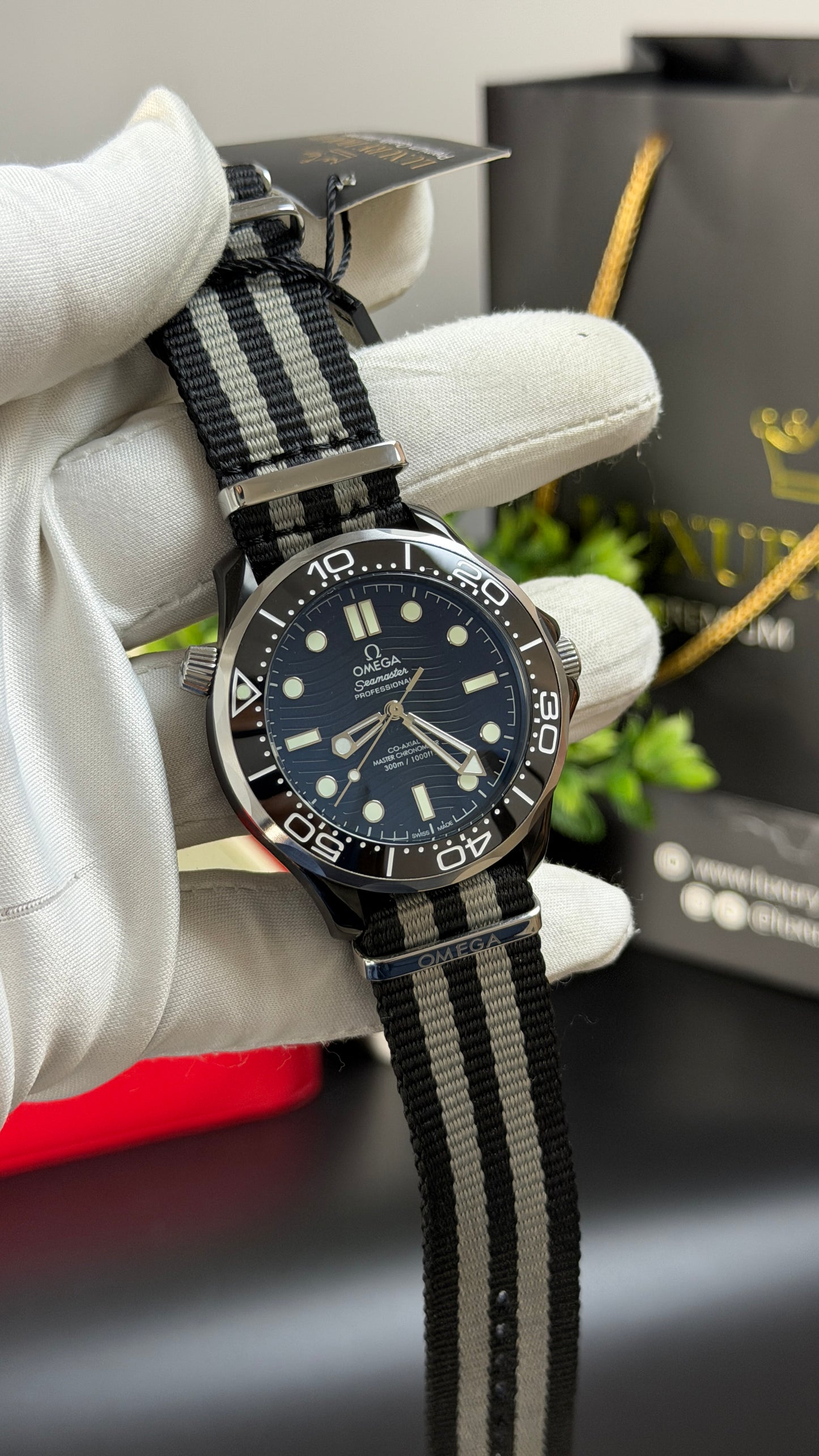 Silver with Black Dial.
