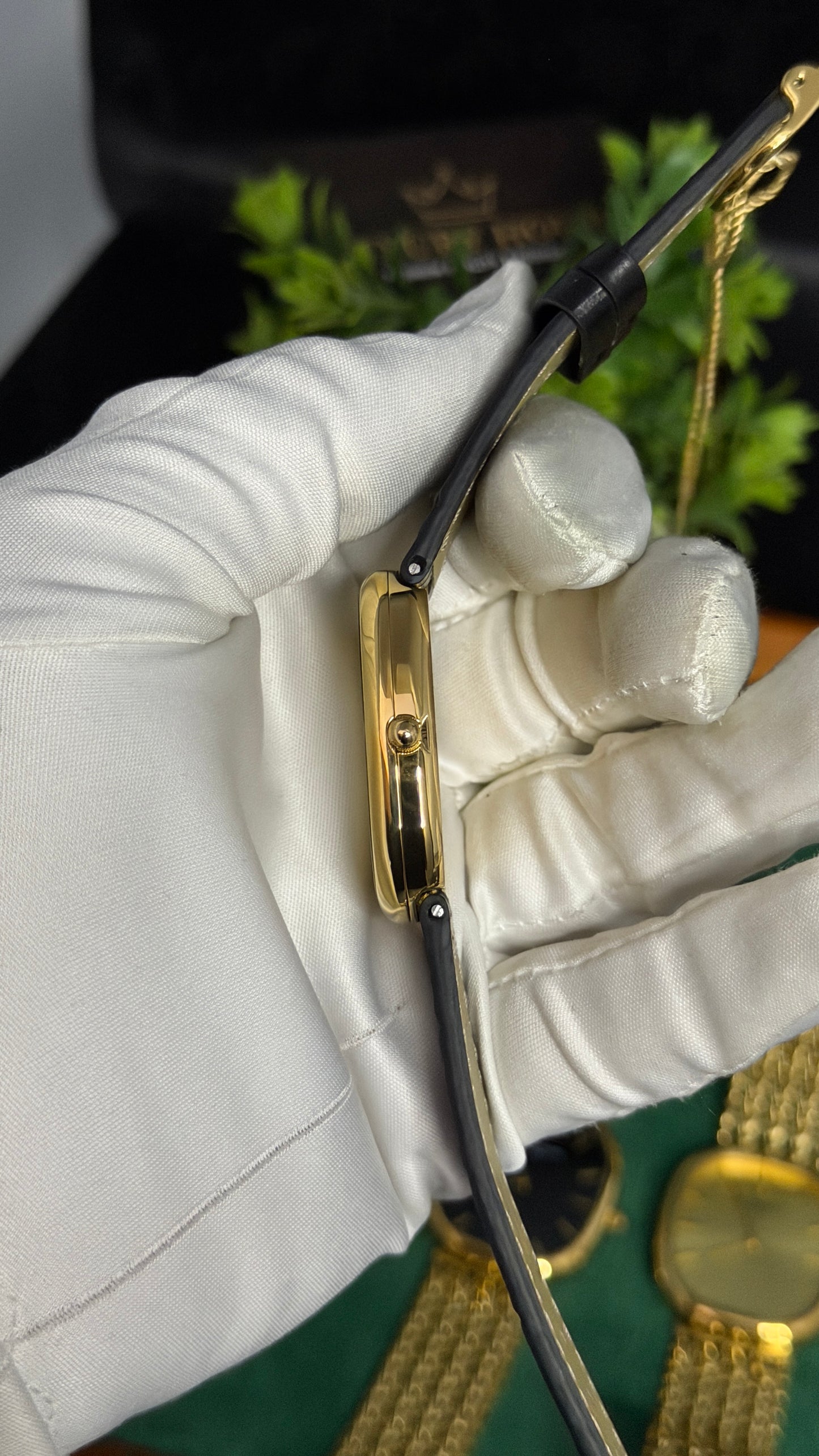 Yellow Gold with Yellow Dial (M NO:201)