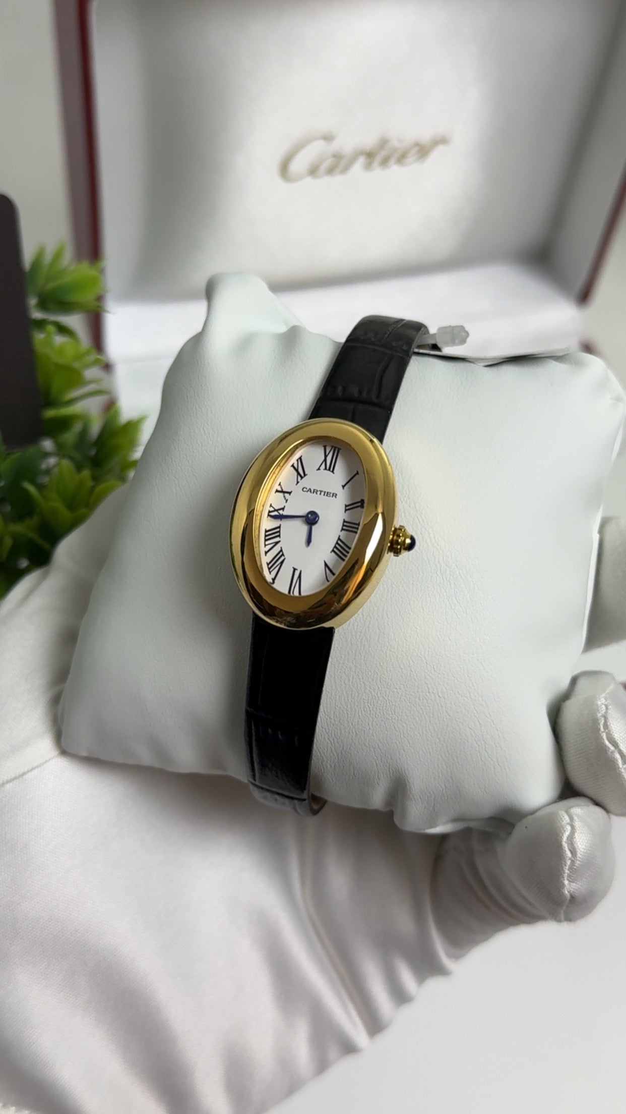 Yellow Gold with Black Strap.
