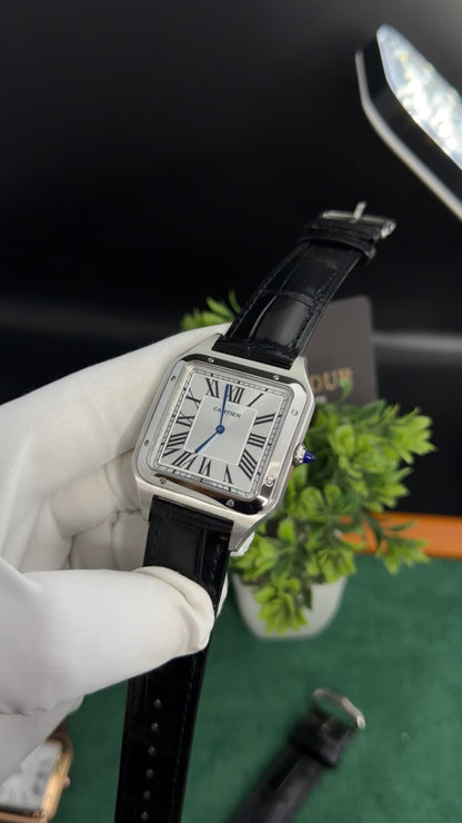 Silver with White Dial (M No:183)