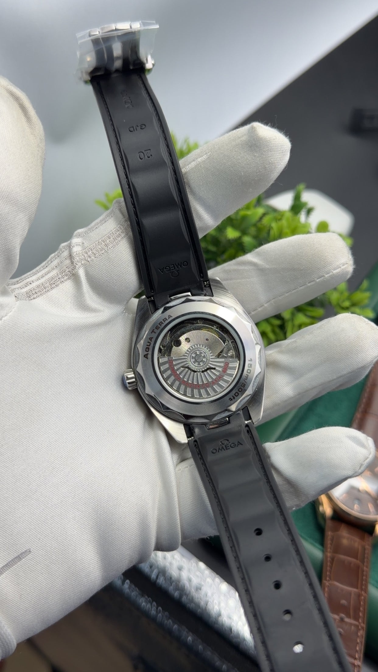 Silver with tiffany dial🔥