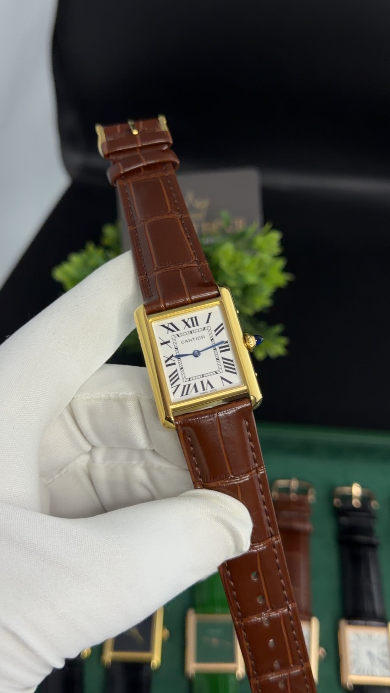 Yellow Gold with White Dial (M No:183)—36 mm