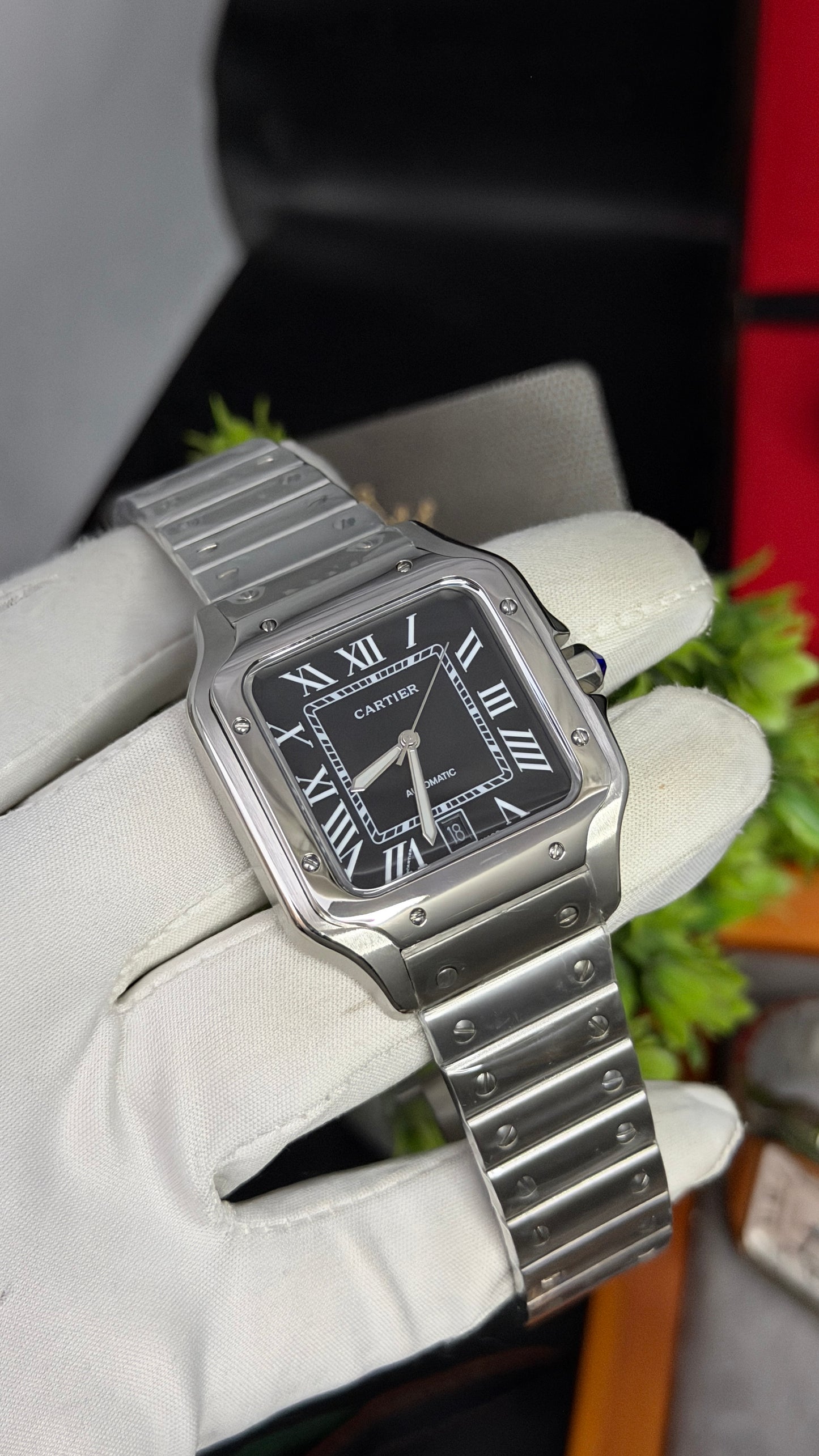 Silver with Black Dial🔥