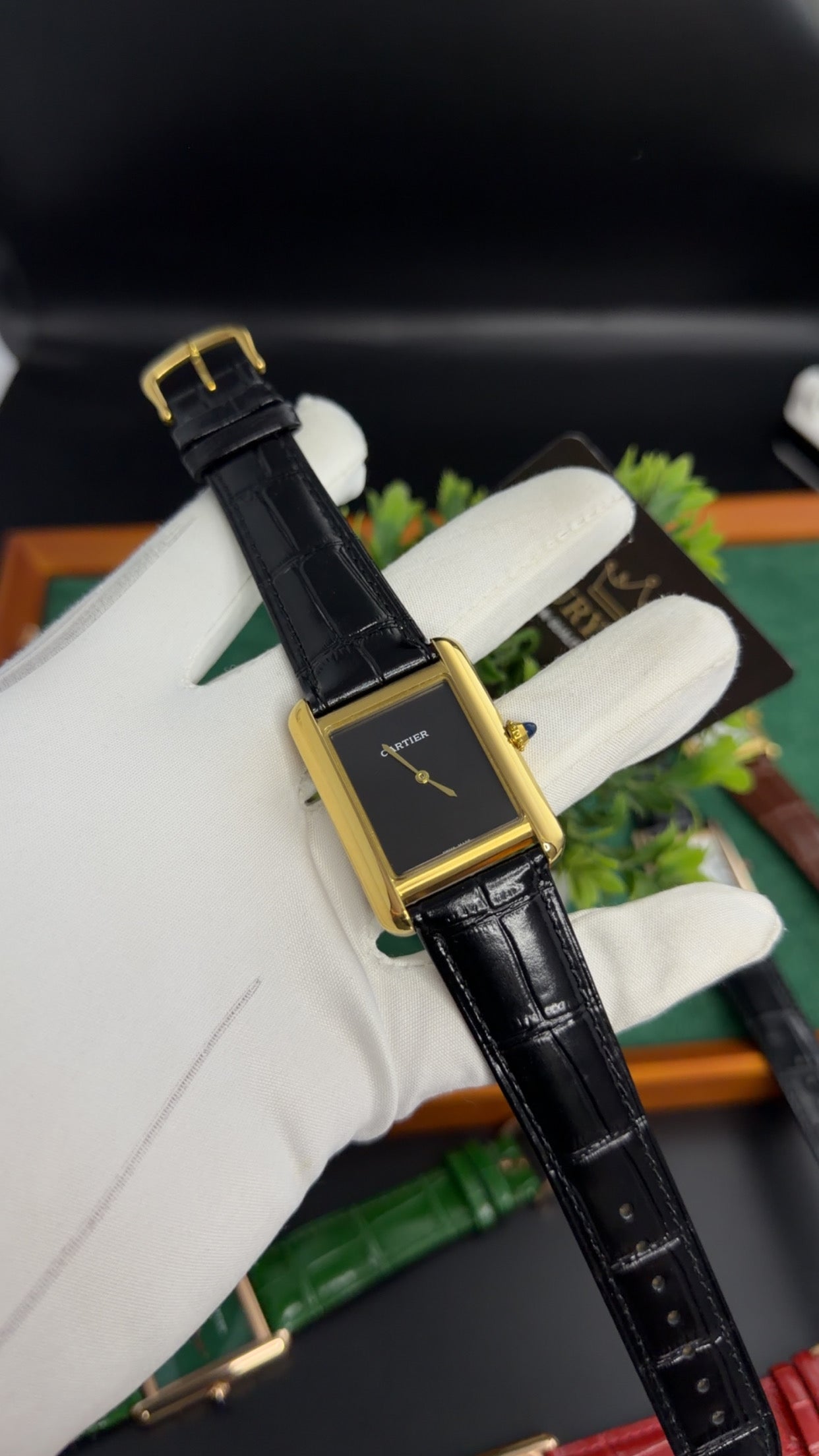 Yellow Gold with Black Dial (M No:183)