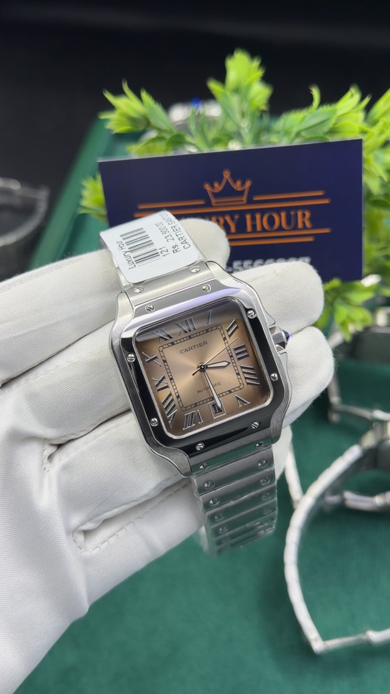 Silver with grey dial 🔥