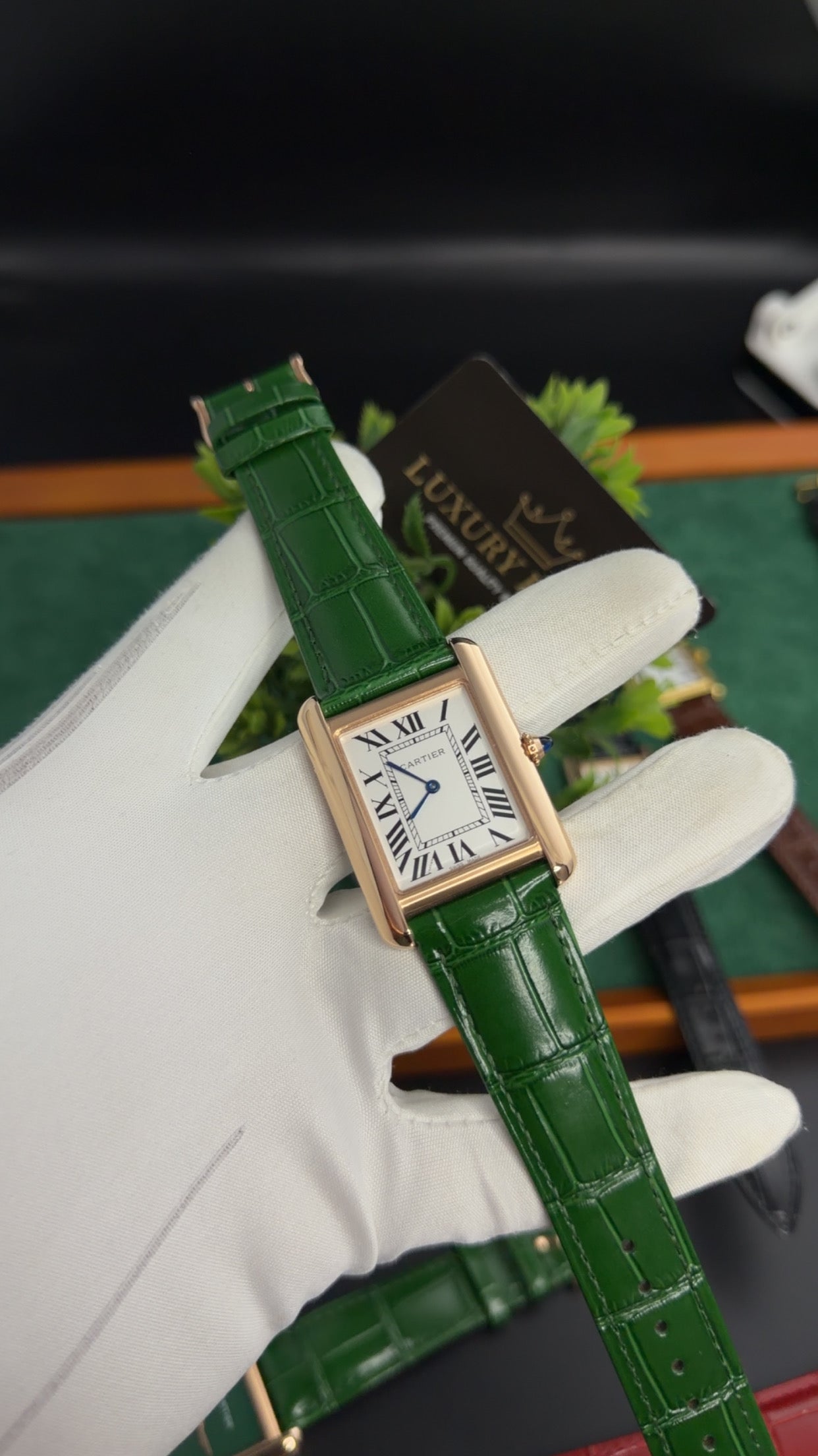 Rose Gold with White Dial (M No:183)