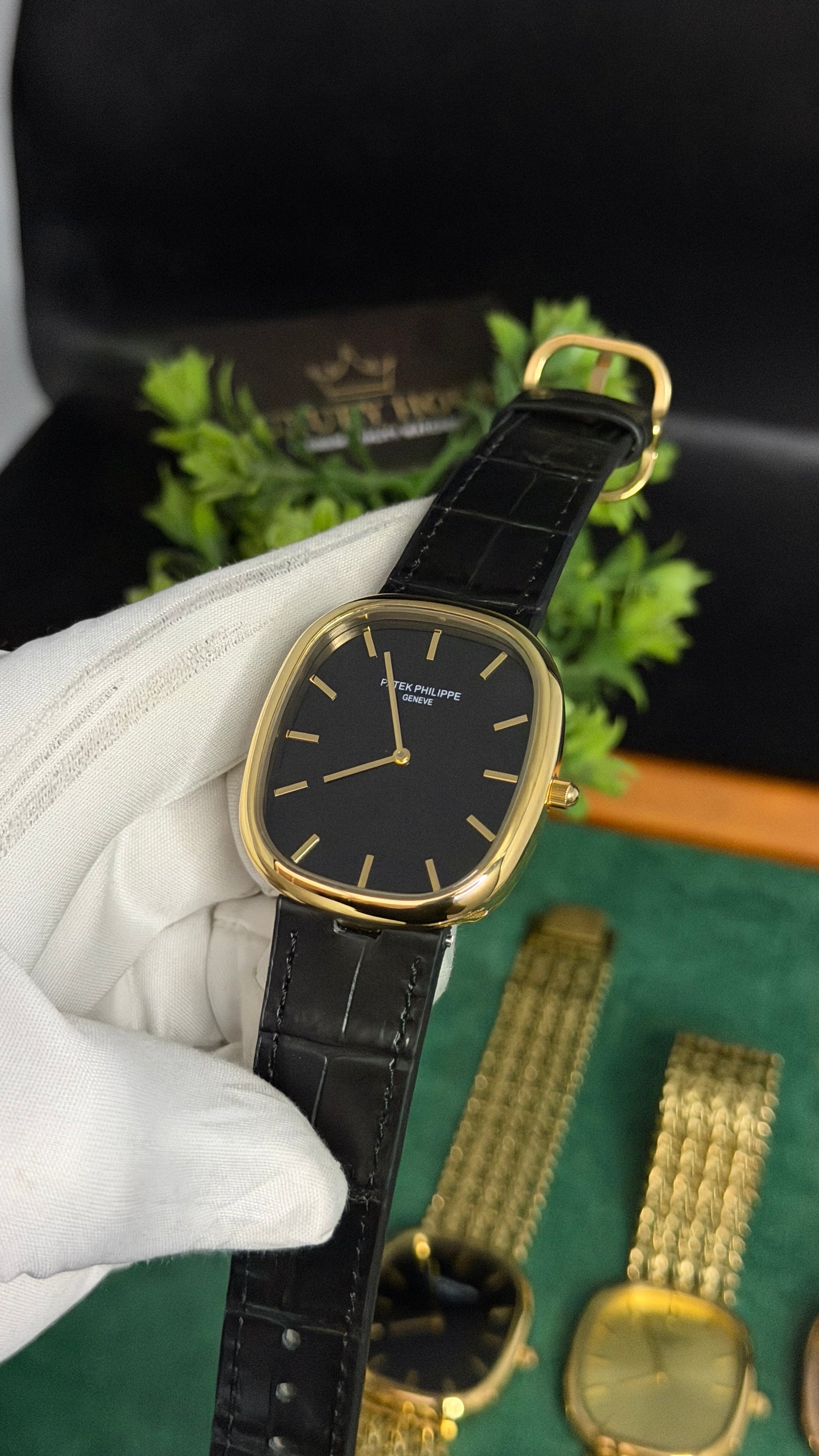 Yellow Gold with Black Dial (M NO:201)
