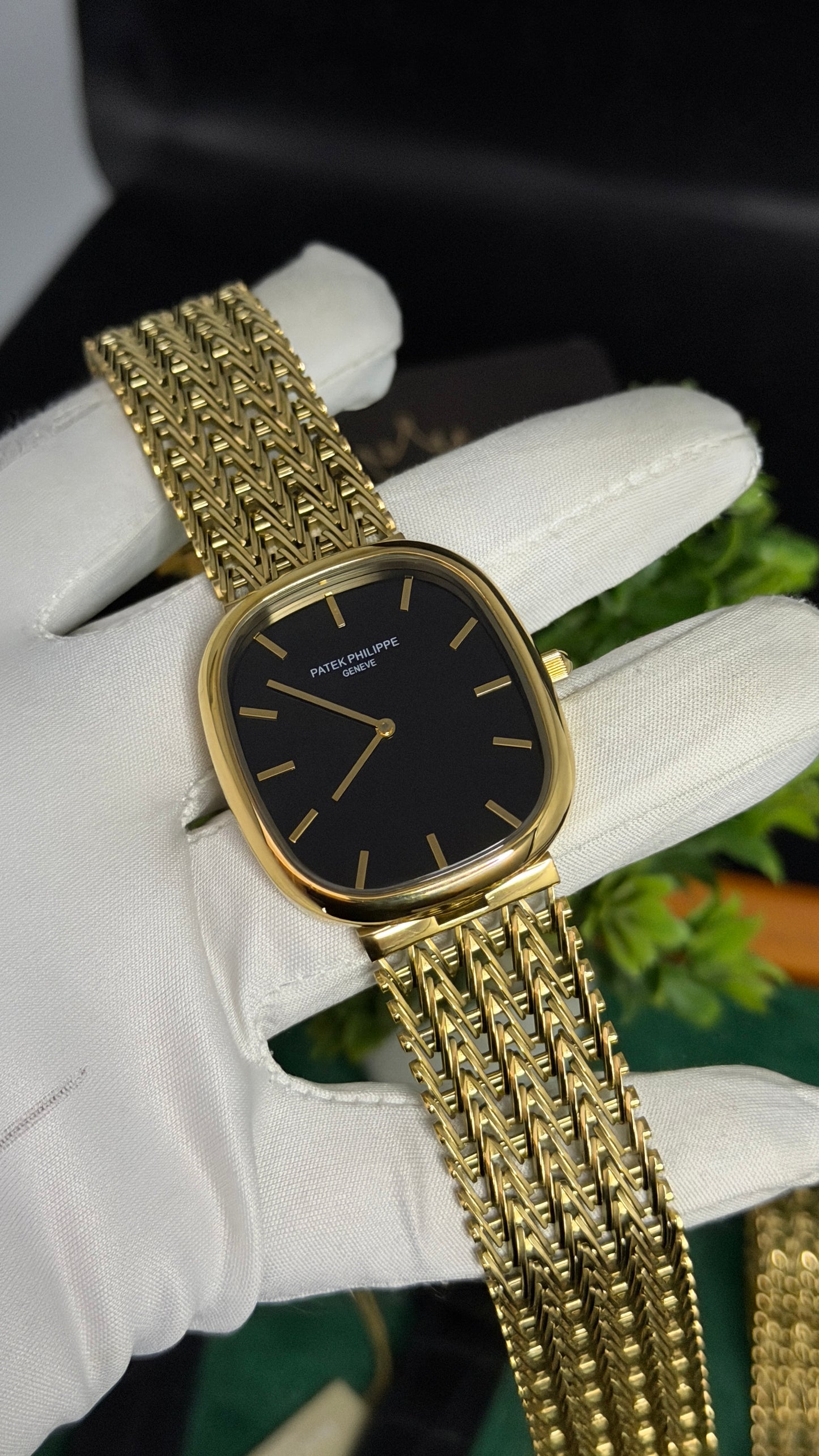 Yellow Gold with Black Dial (M NO:201)