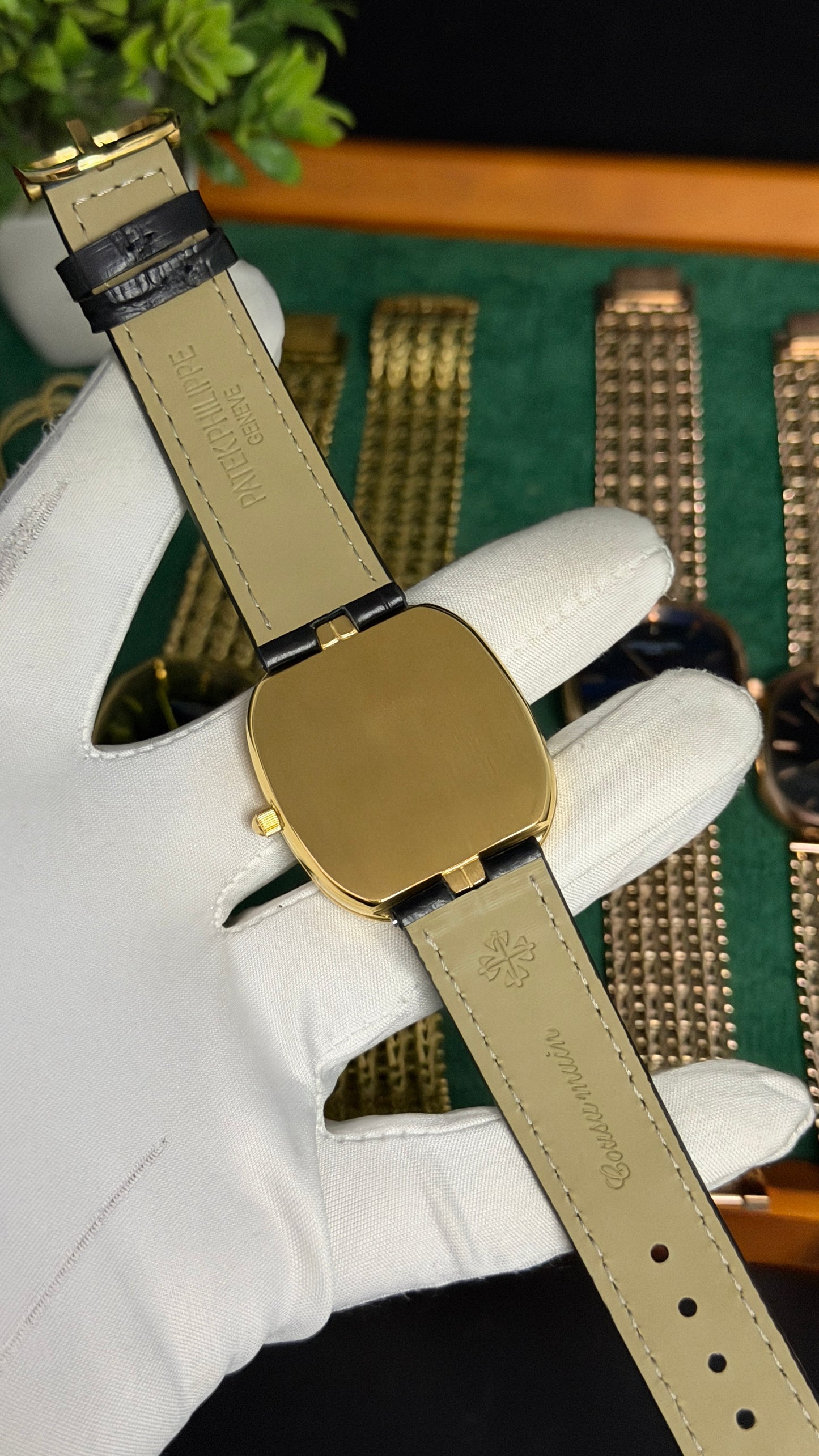 Yellow Gold with Yellow Dial (M NO:201)