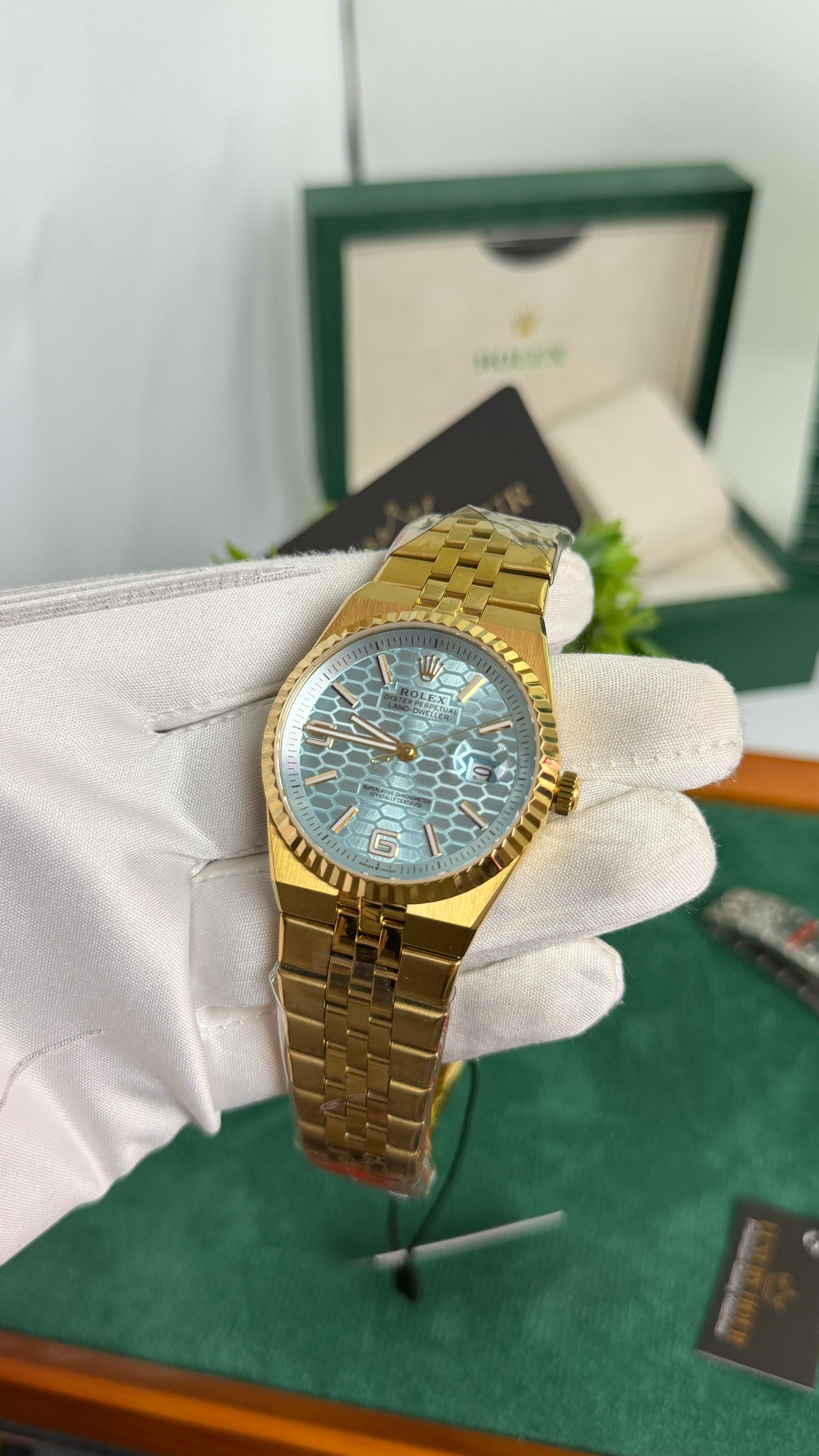 Yellow Gold with Sky Blue Dial🔥